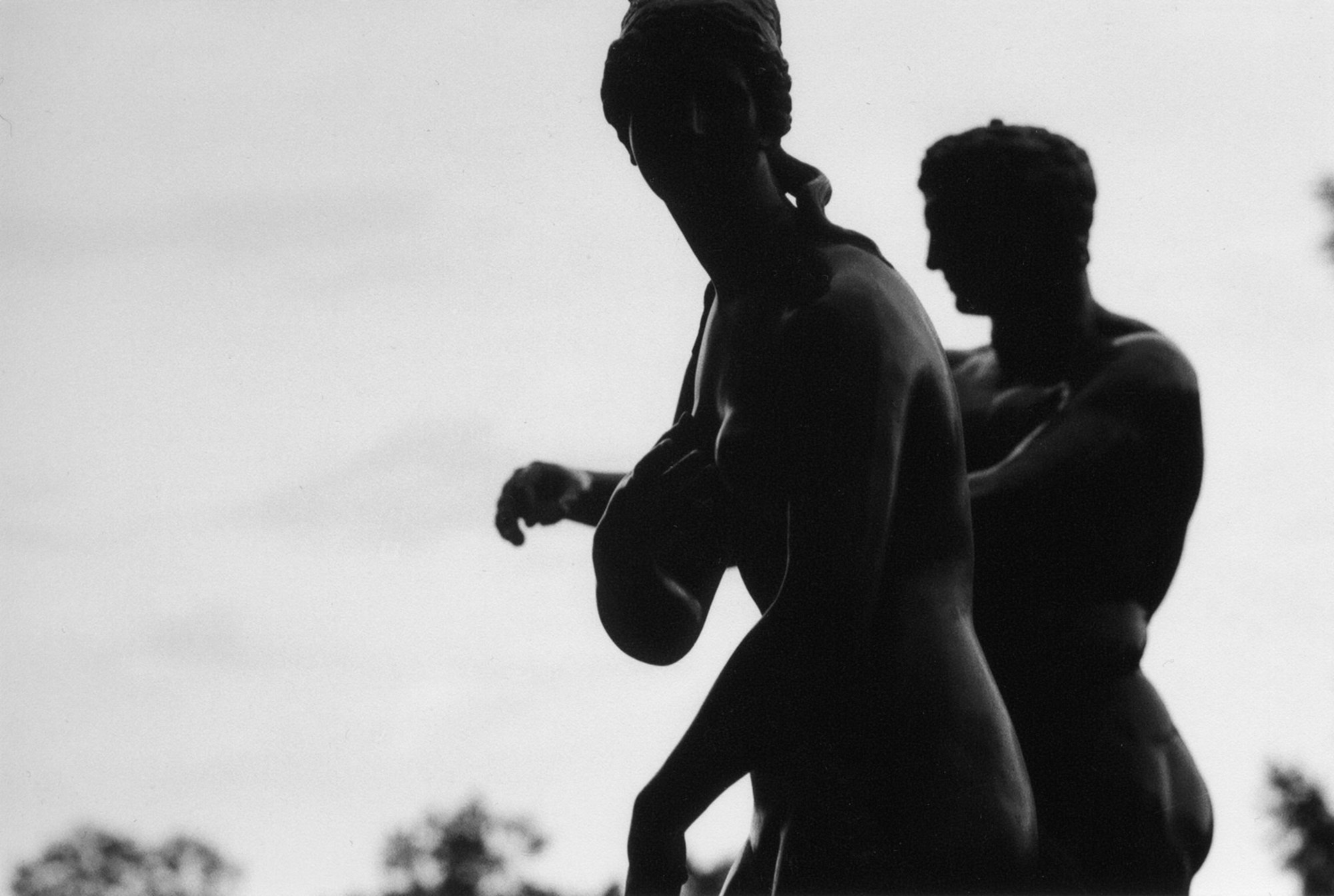 Елена Цихон художник фотографии и мастер фото-ДНК