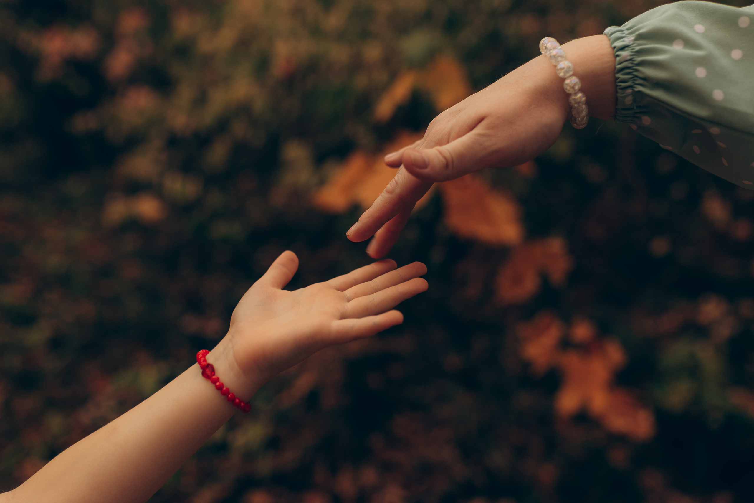 Евгений Юлия София