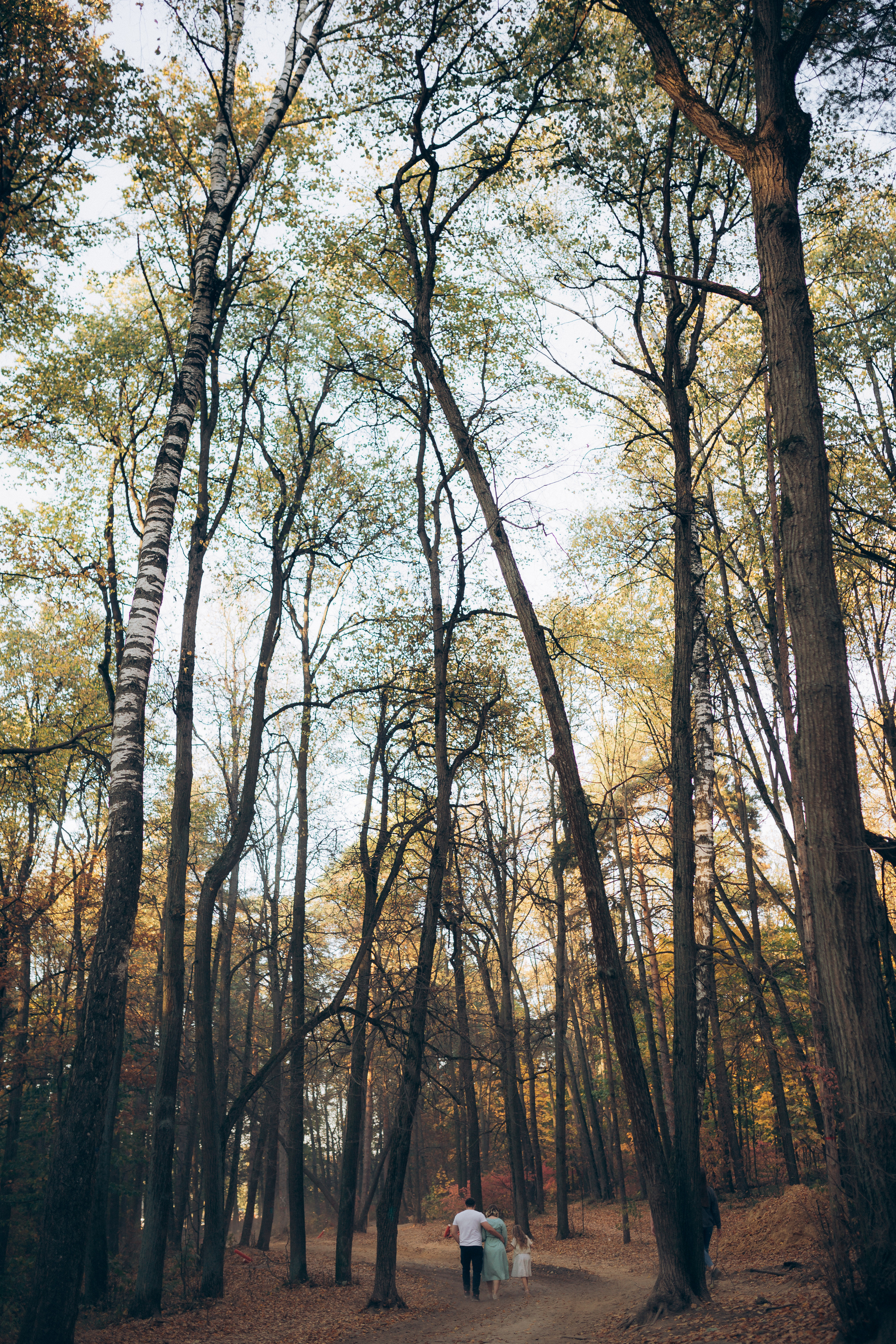 Евгений Юлия София