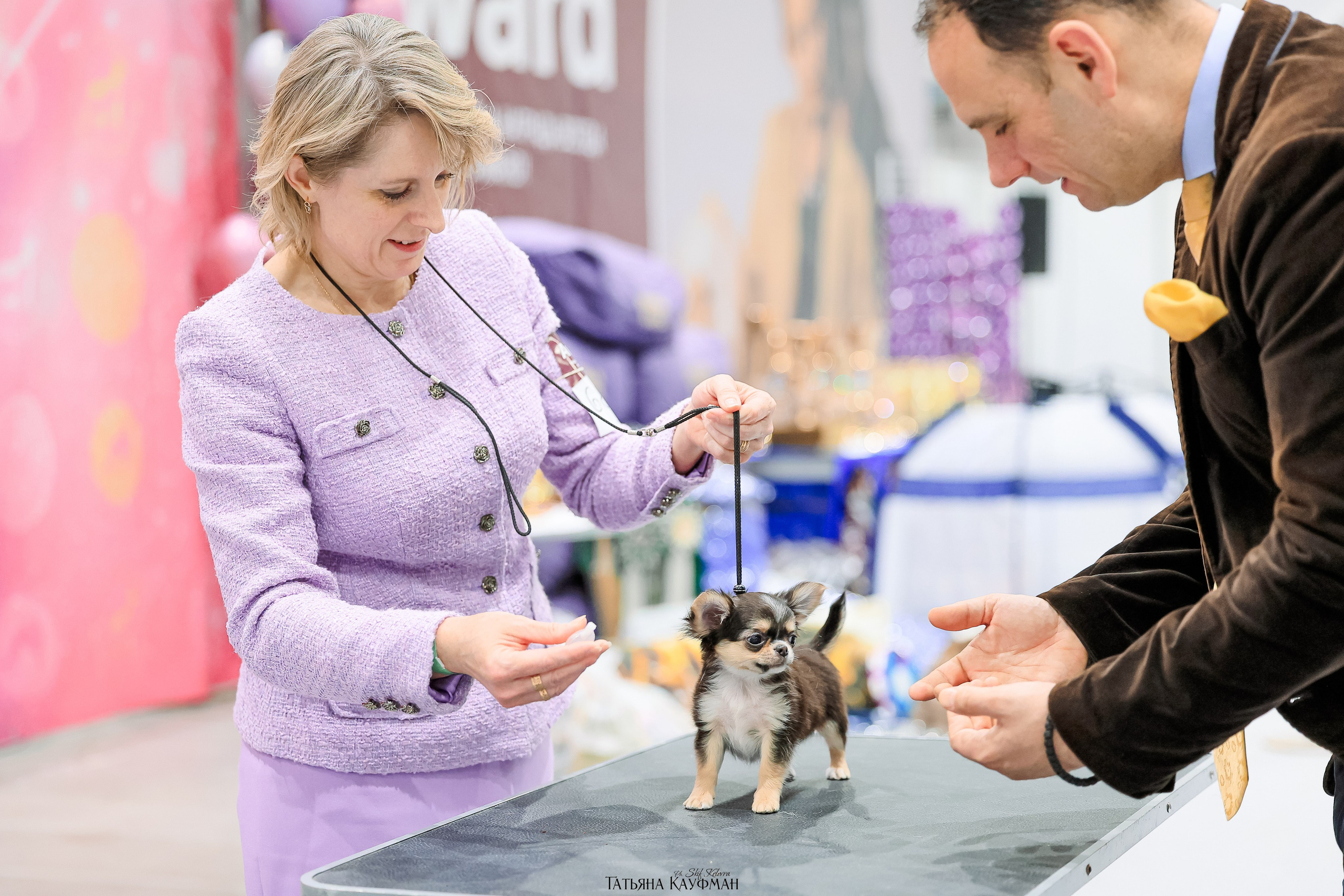 28-29.03.2026 Рейтинговая выставка в Новосибирске. Фотограф Анималист из Новосибирска Татьяна Кауфман