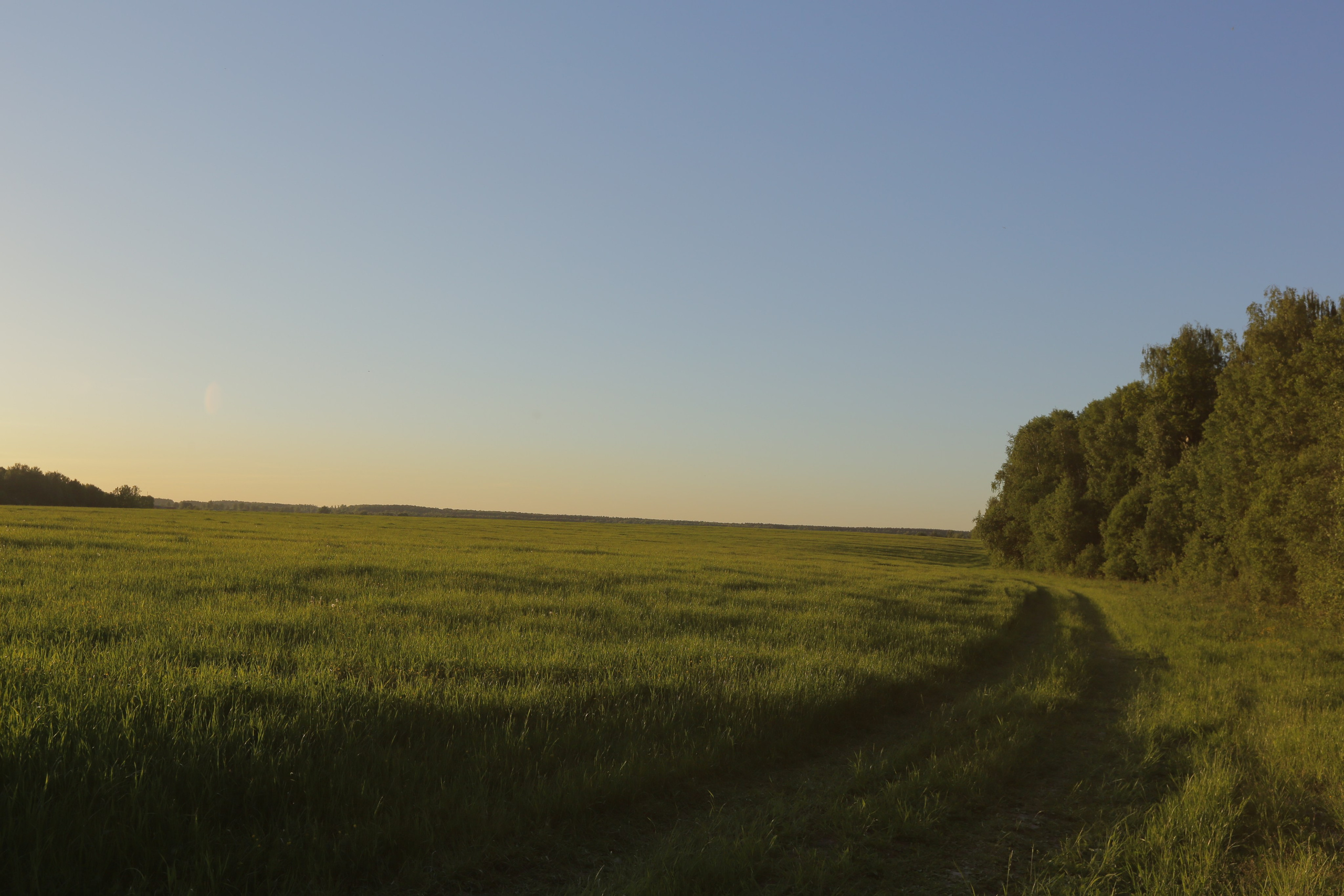 Фото Московской области. Студия Максима Белослюдцева