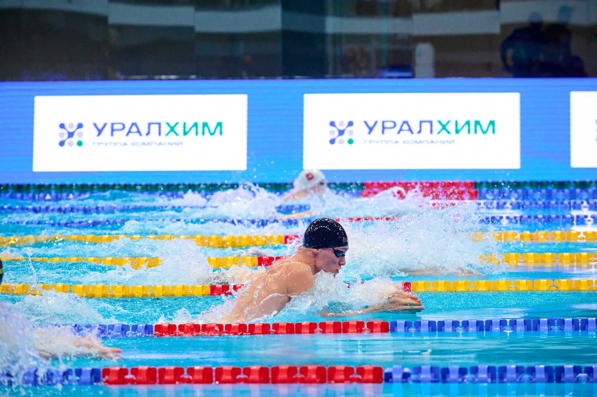 Кубок России по плаванию 2024 г. Екатеринбург. Мезенцев Евгений фотограф