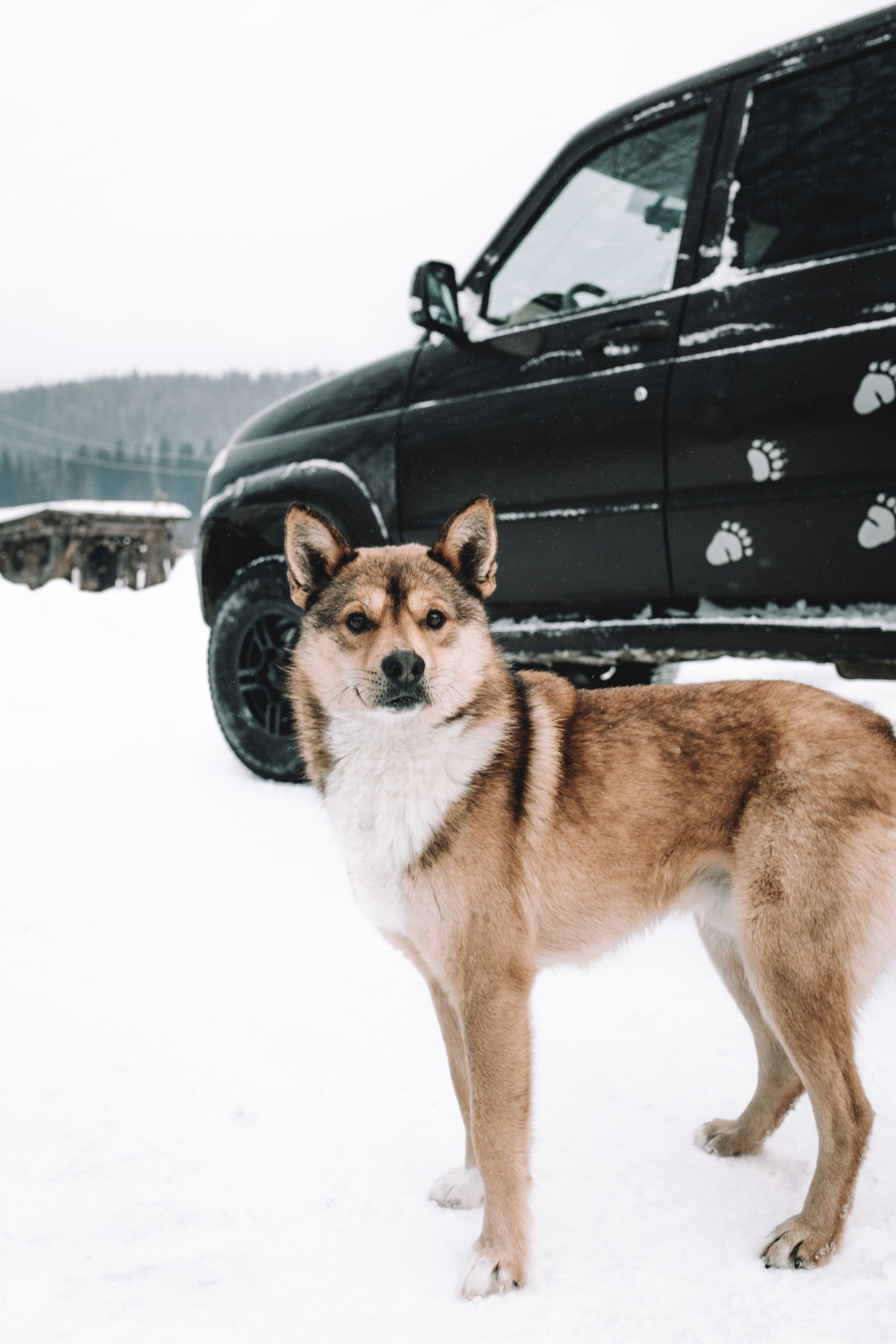 Экспедиционная фотосессия в горах/на природе