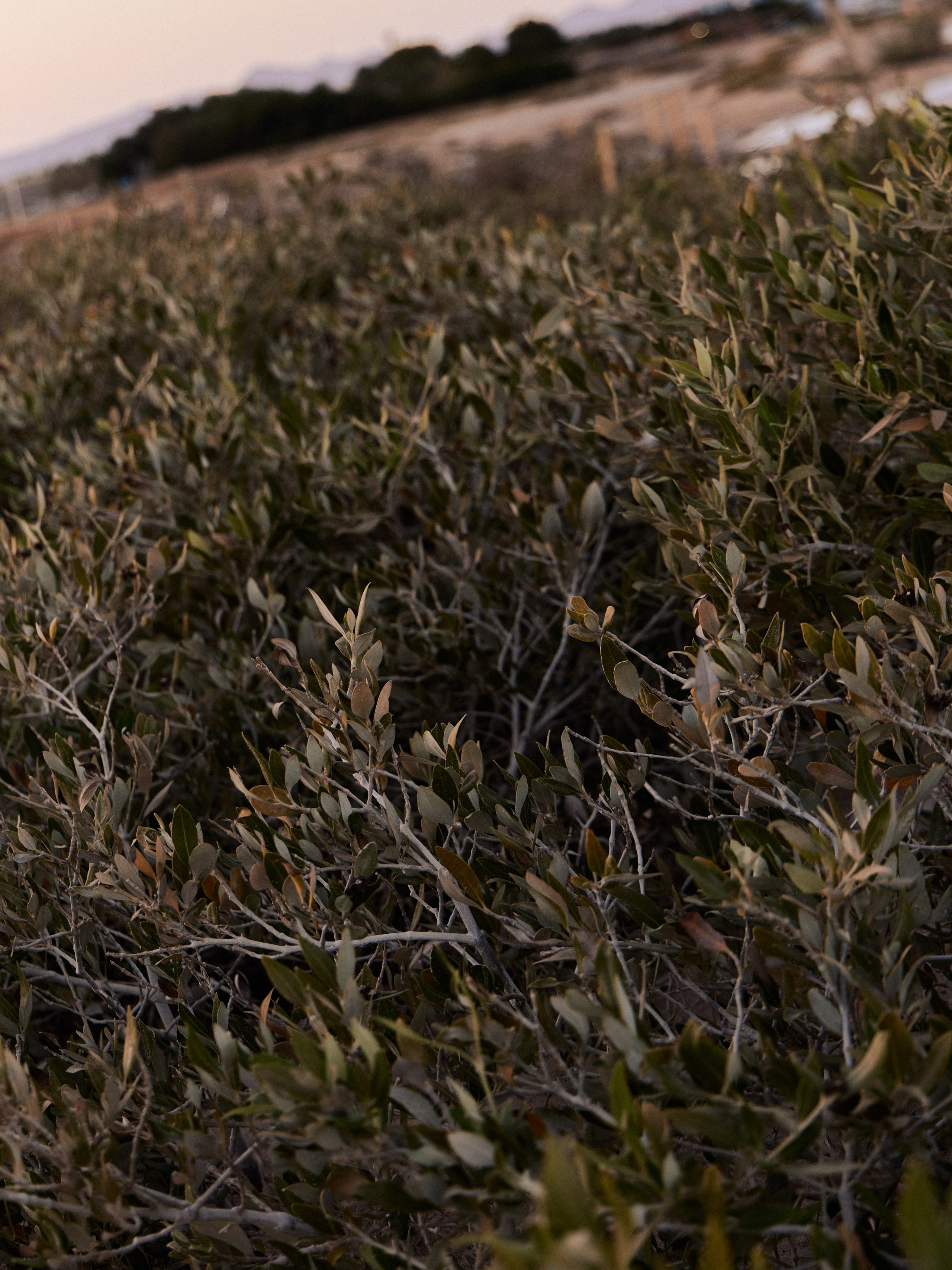 Другое 4. Jorgis — фотограф в Хургаде / обучение фотографии