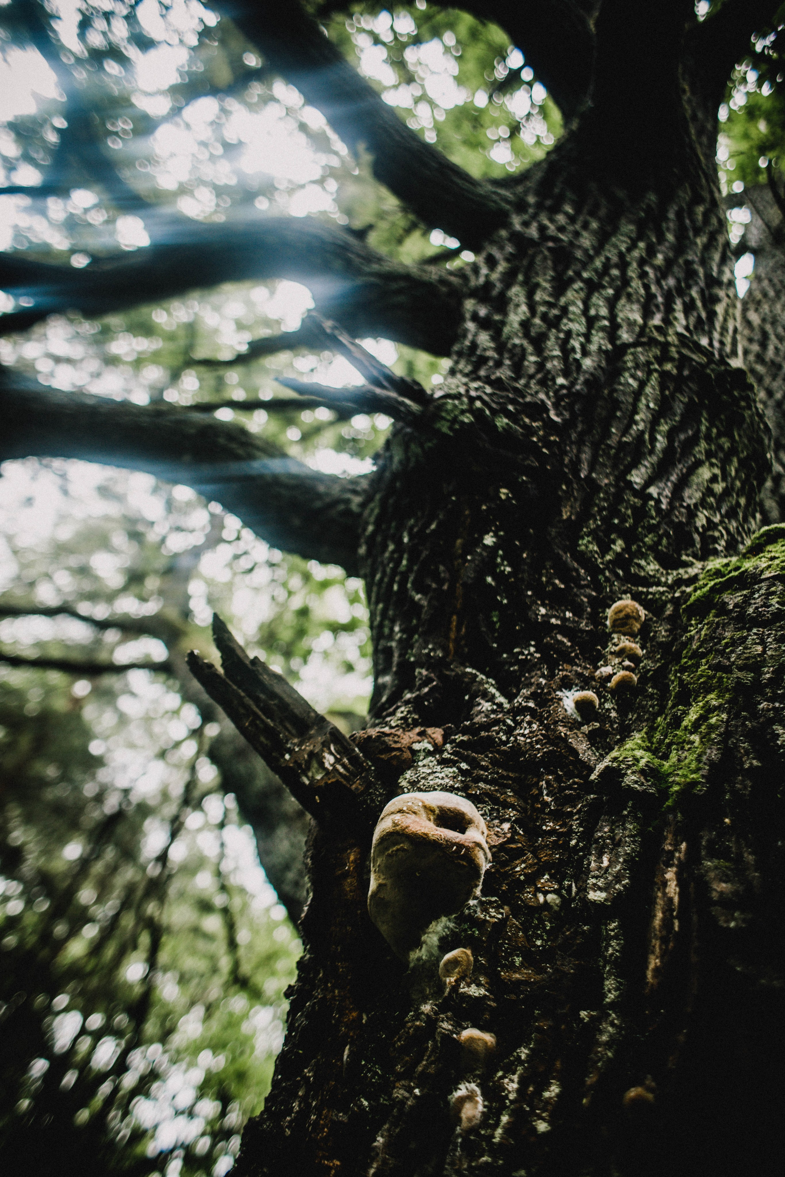 Лесное. Лена. Фотограф в Нижнем Новгороде