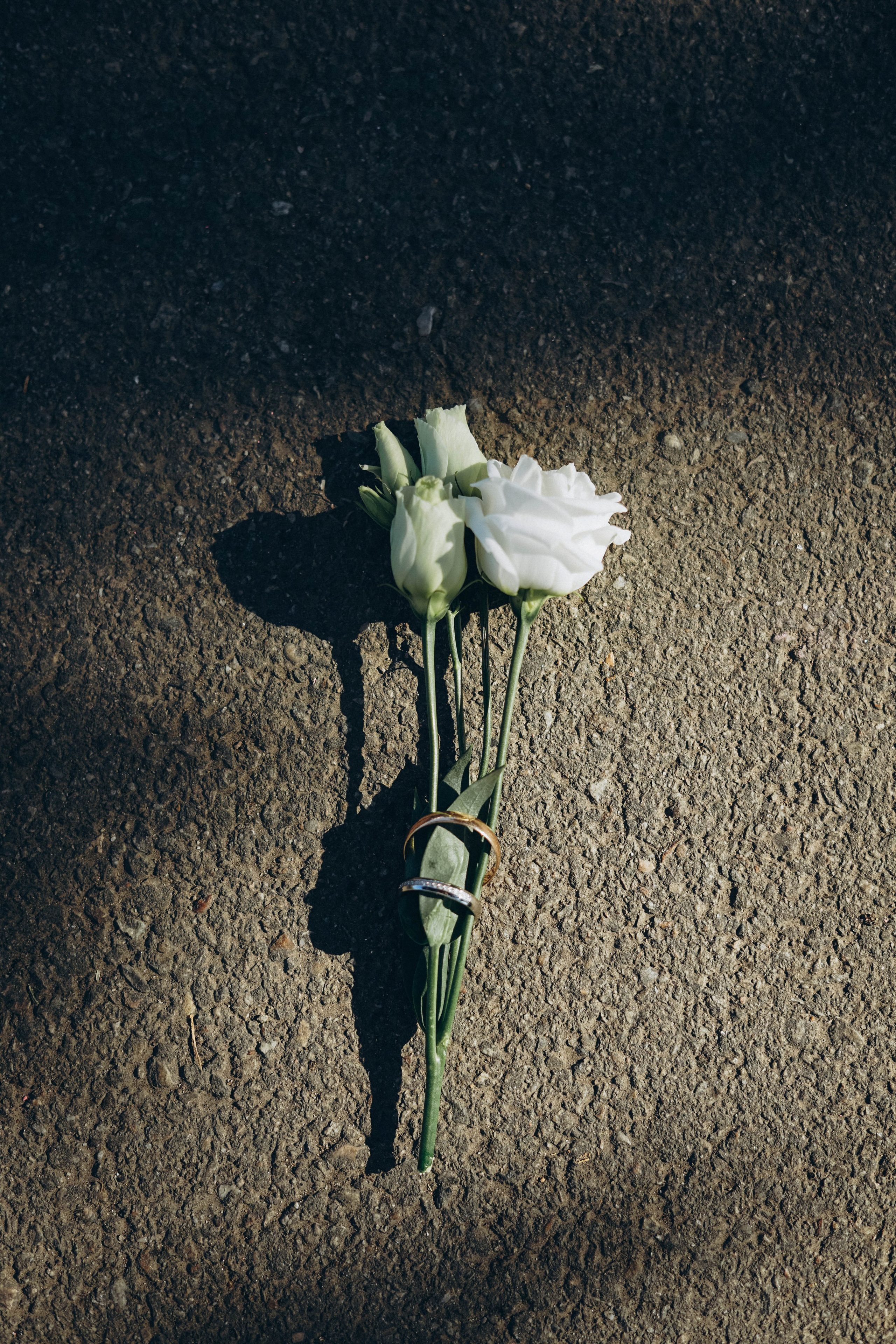 Дарья и Даниил: регистрация и прогулка. Фотограф в Иркутске