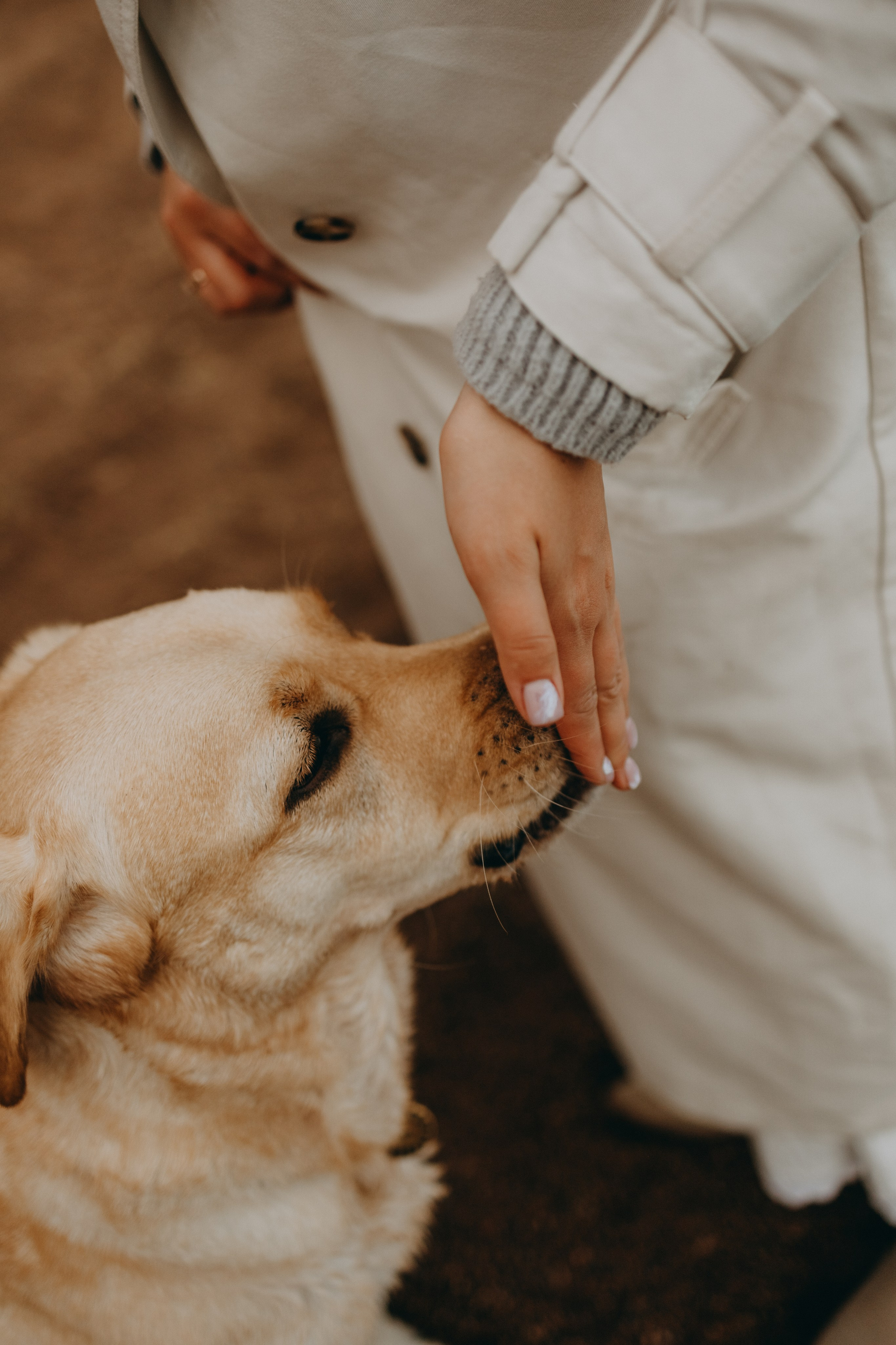 Наташа и Шани. Фотограф — Анималист | Санкт-Петербург