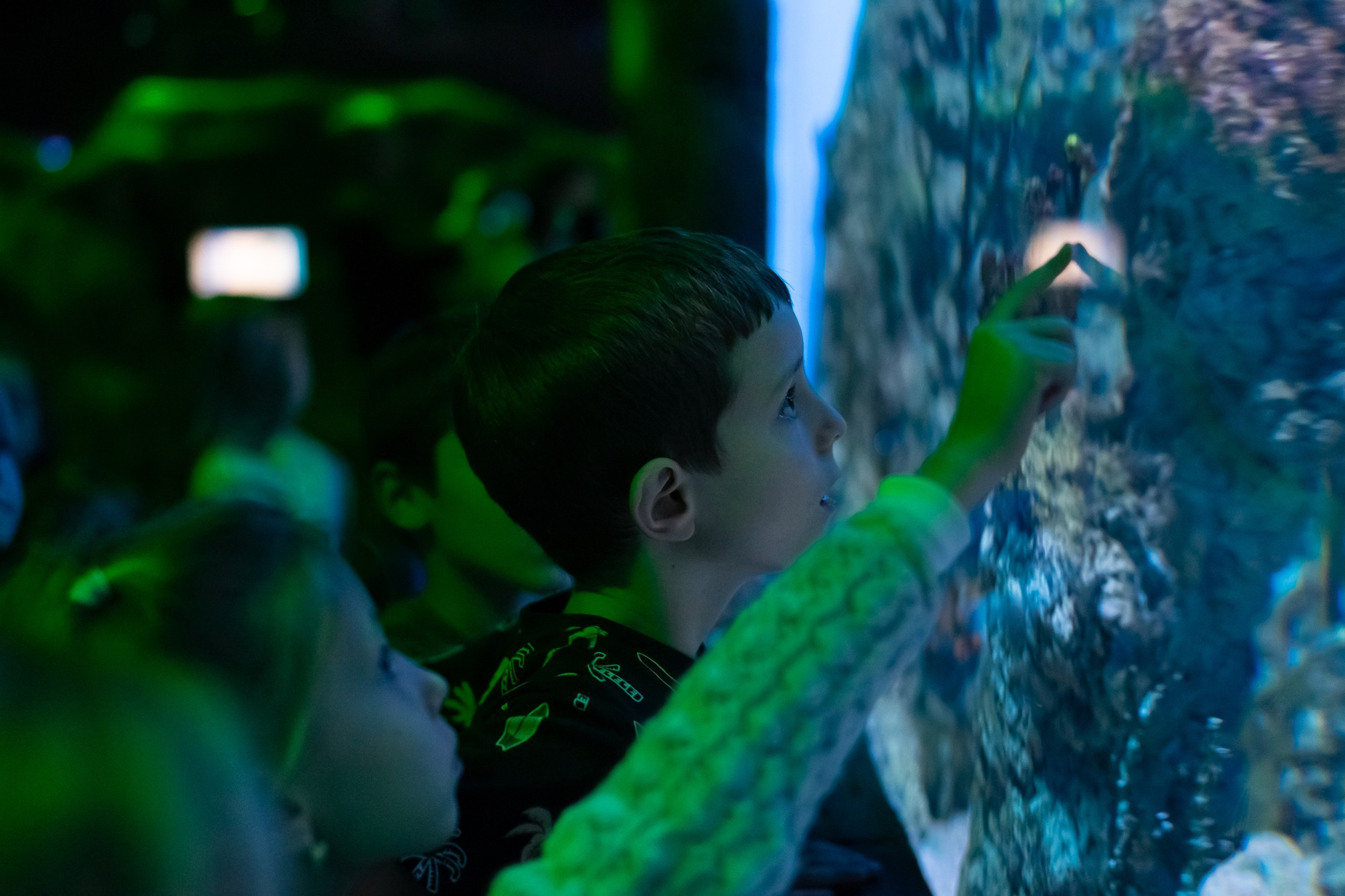 Стасу 8 лет!. Семейный фотограф в Москве Ирина Жур