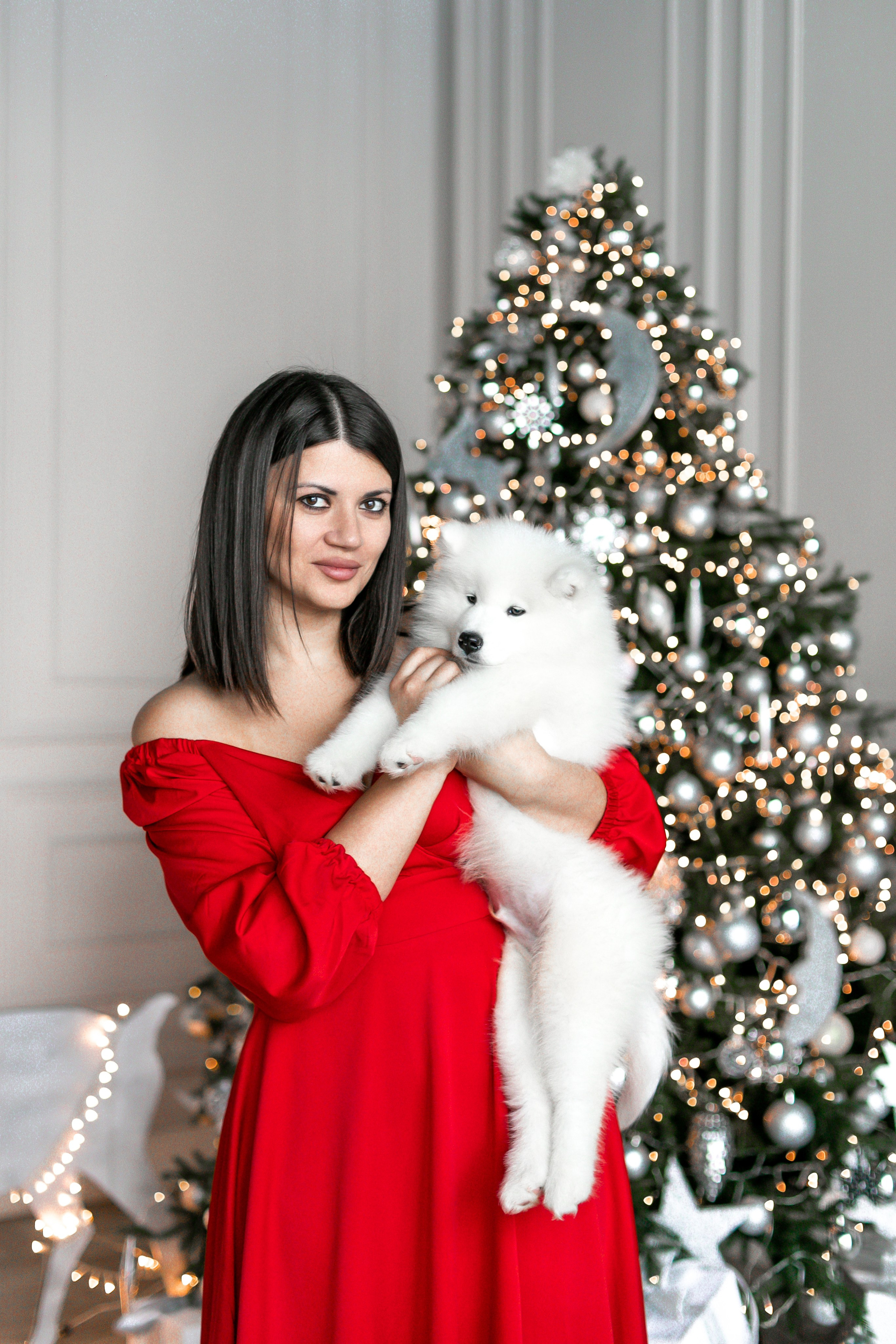 Фотосессия с животными в студии. Фотопроекты, фотодни и фотосессии в Москве