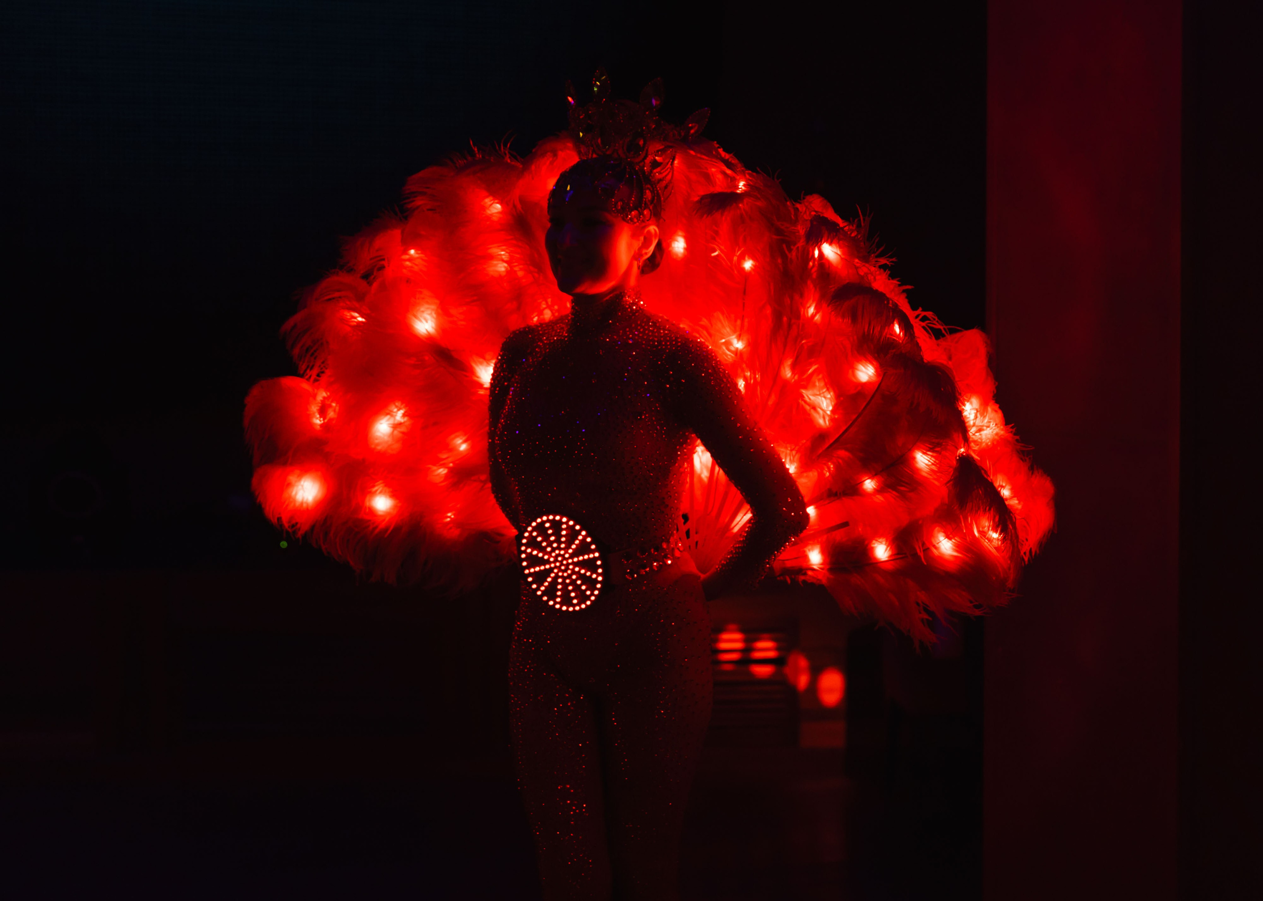 Предновогодка кипарис 2025. ФОТОГРАФ ВИНОГРАДОВА ДАРЬЯ