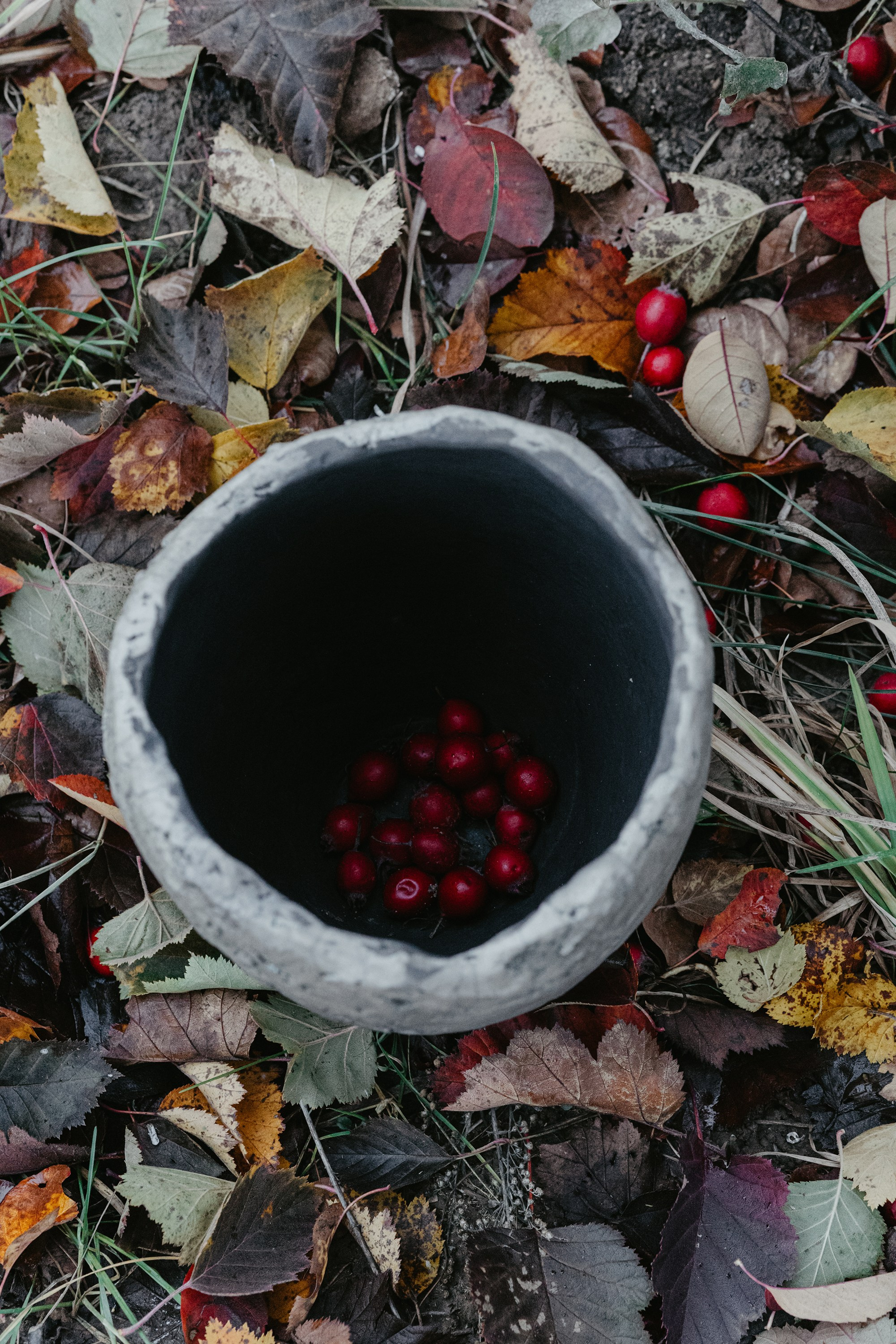 Ваза Айла. Фотограф Эльмира Лин