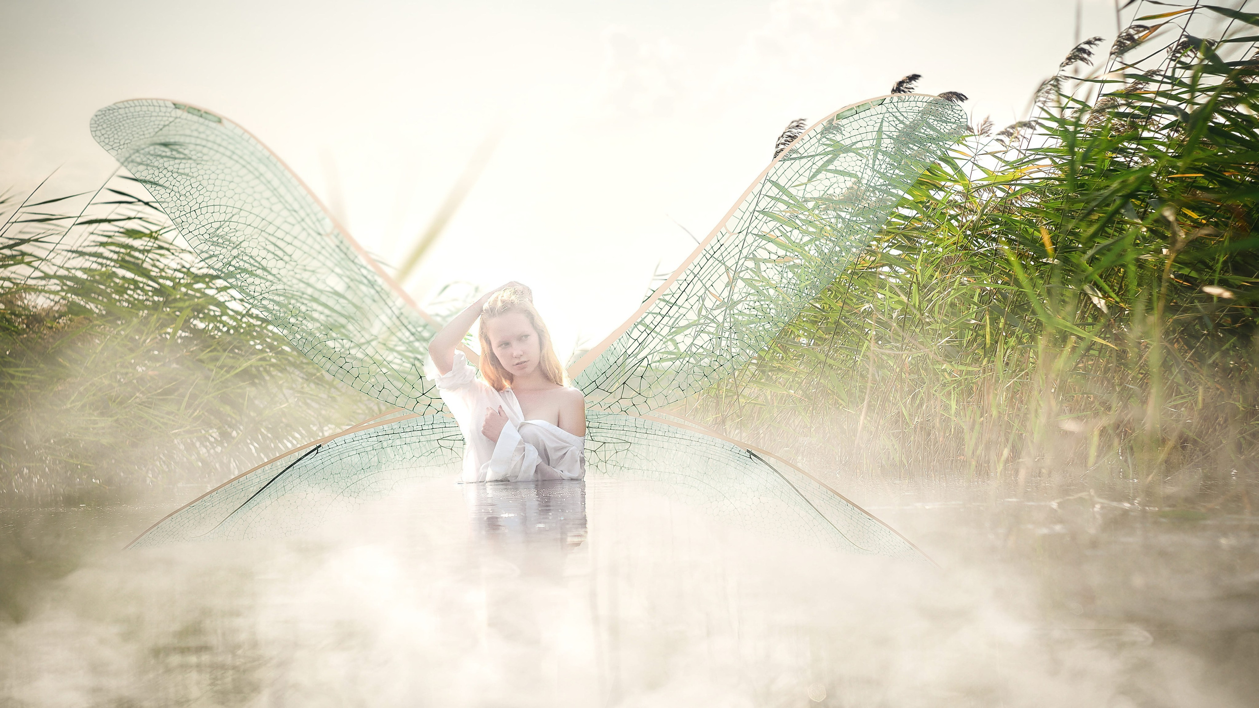 Фотолента с лучшими кадрами от фотографа Сергея Ермолаева