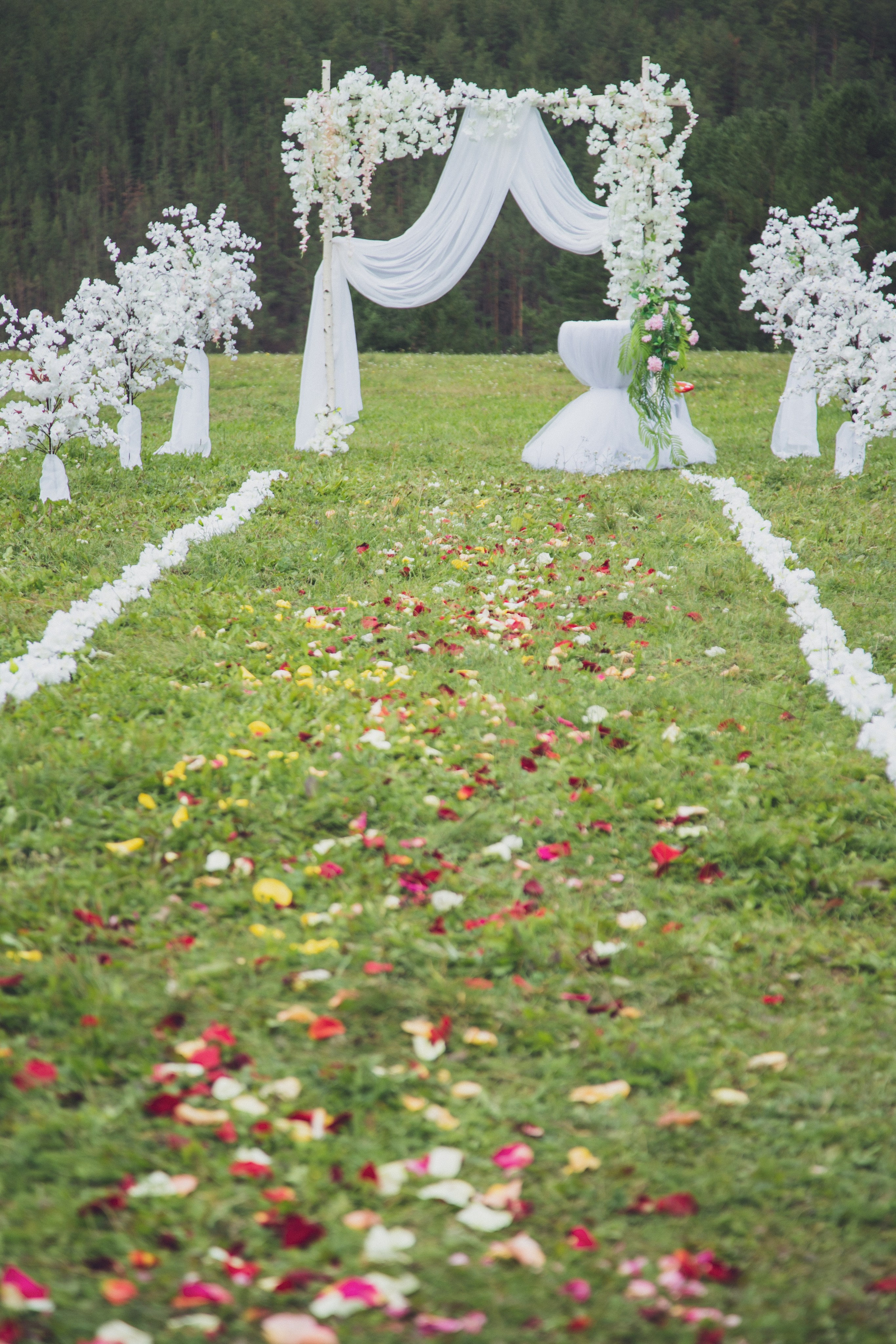 Алексей Полков — ФОТОГРАФ. Алексей Полков — ФОТОГРАФ
