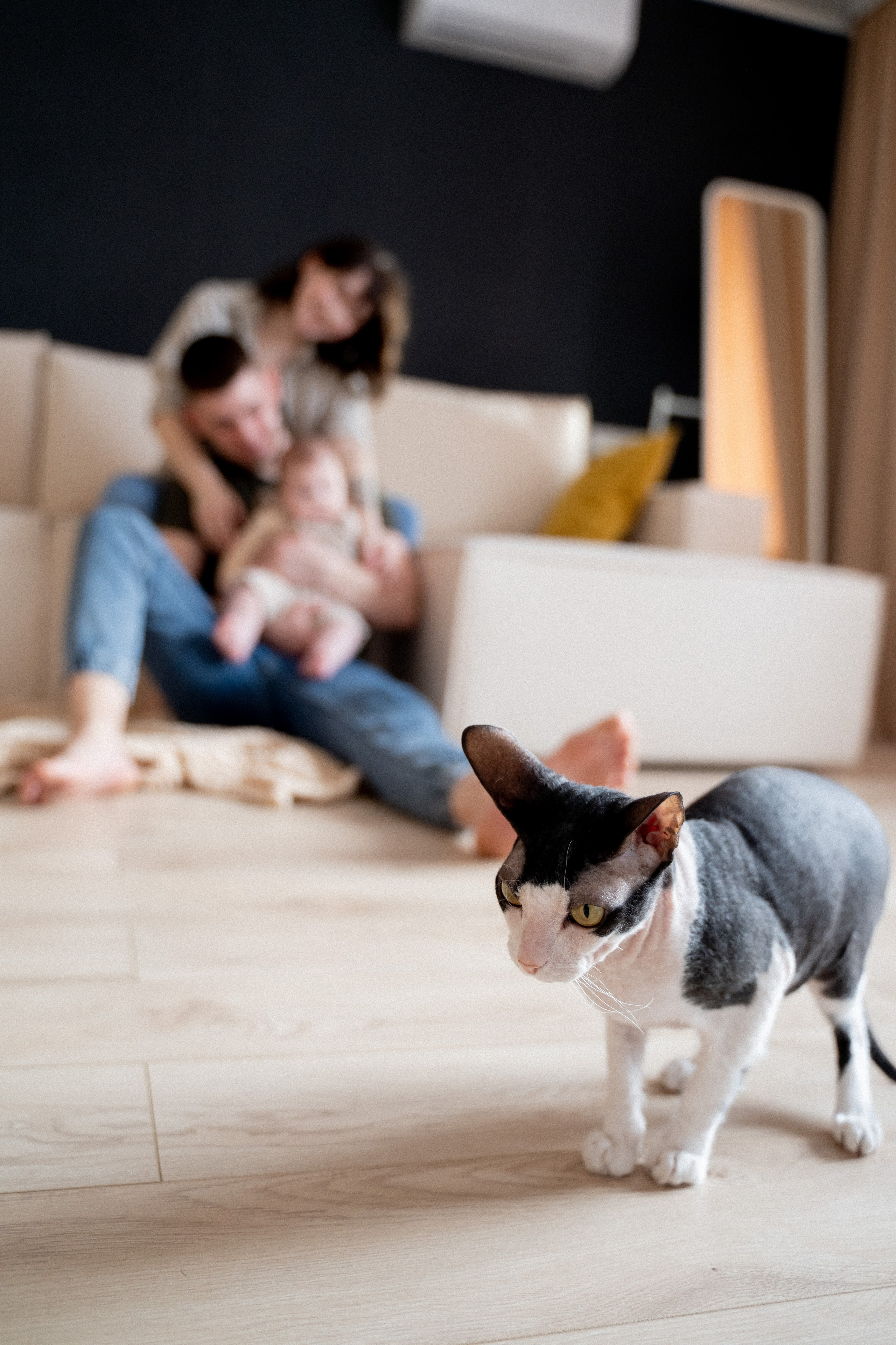 Семья Михляевых