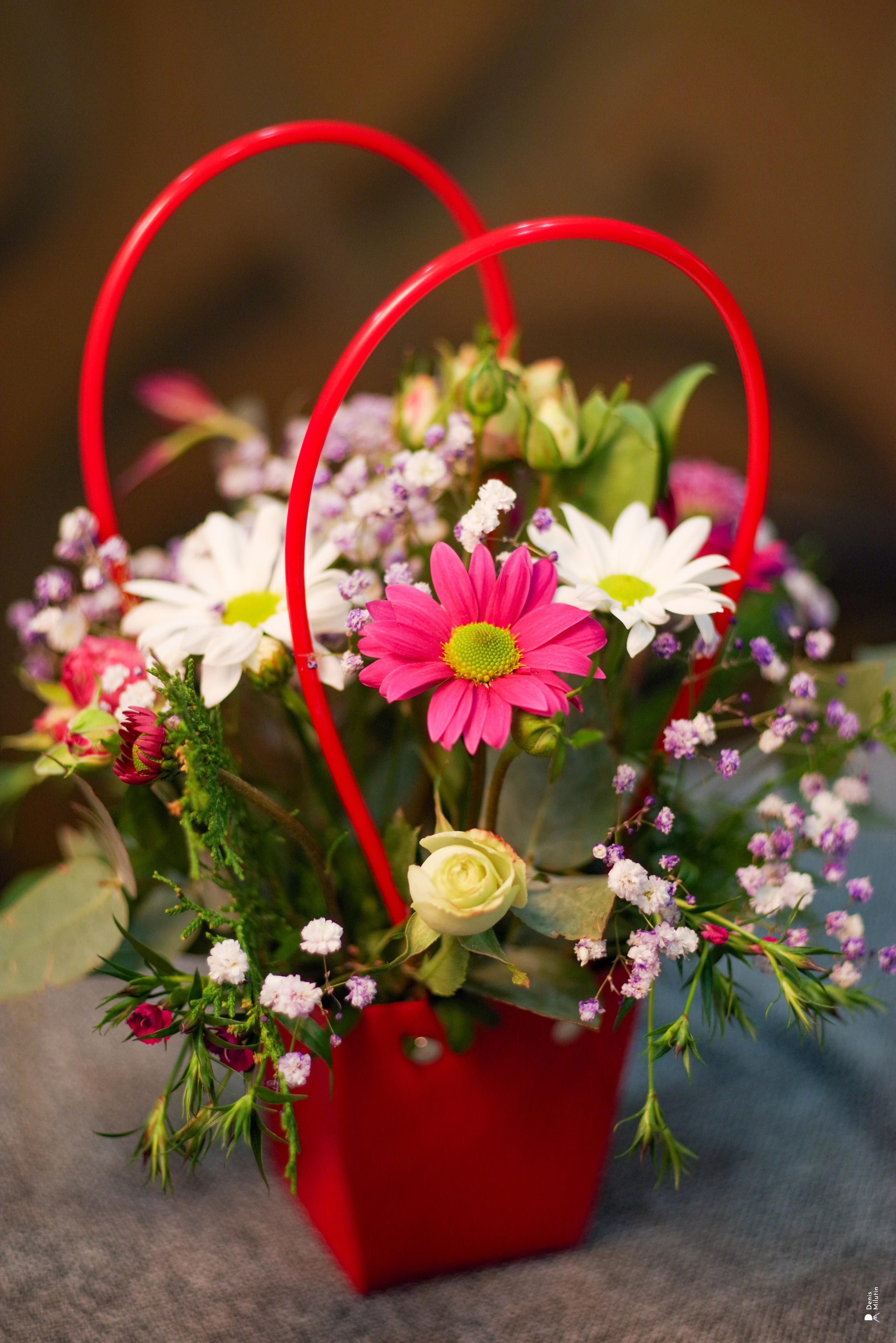 Салон цветов. Портретный фотограф Денис Милютин