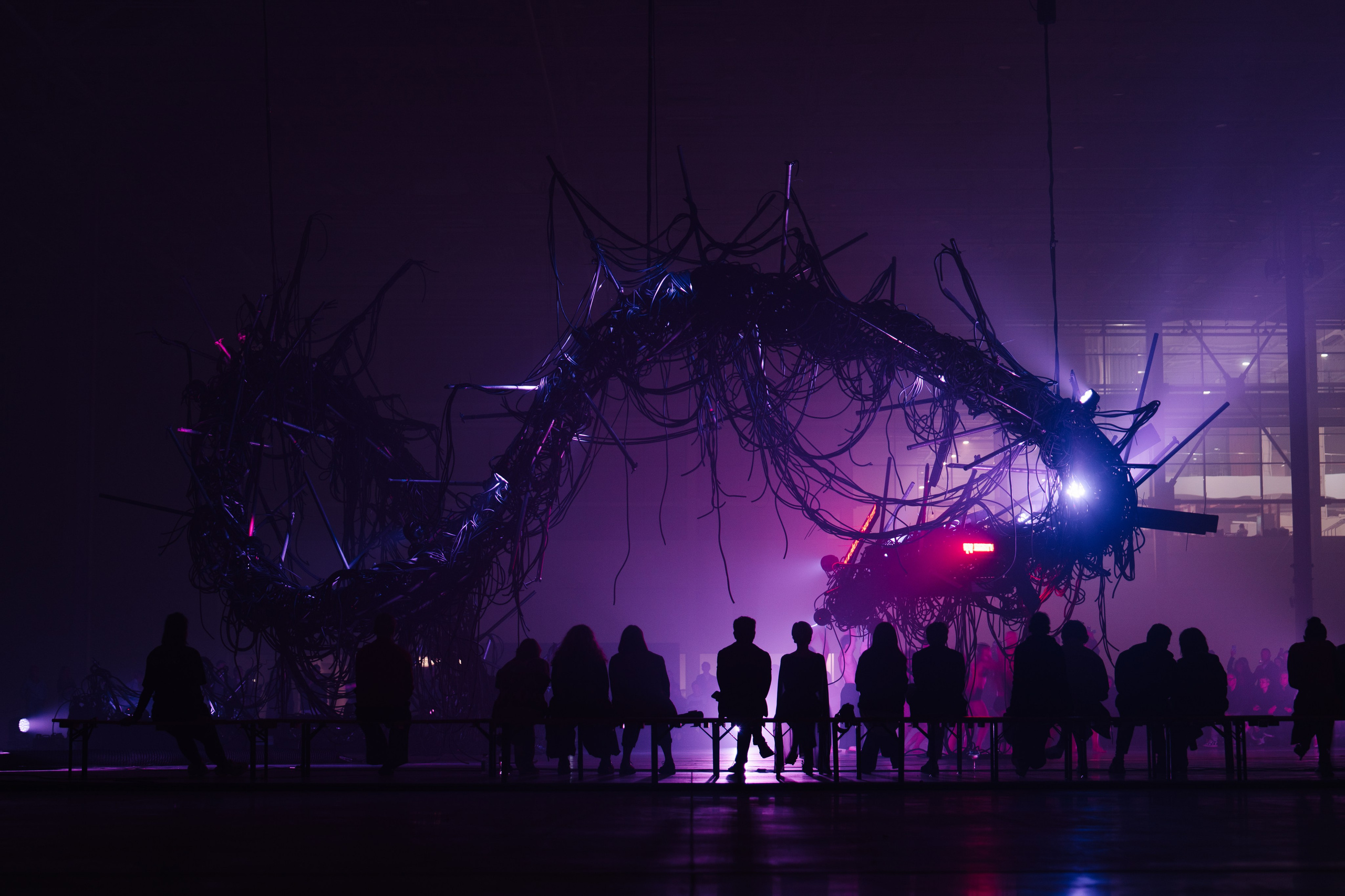 PERFORMA, The Hour of the Horse. @tomrus: Рустам Шагиморданов — фотограф