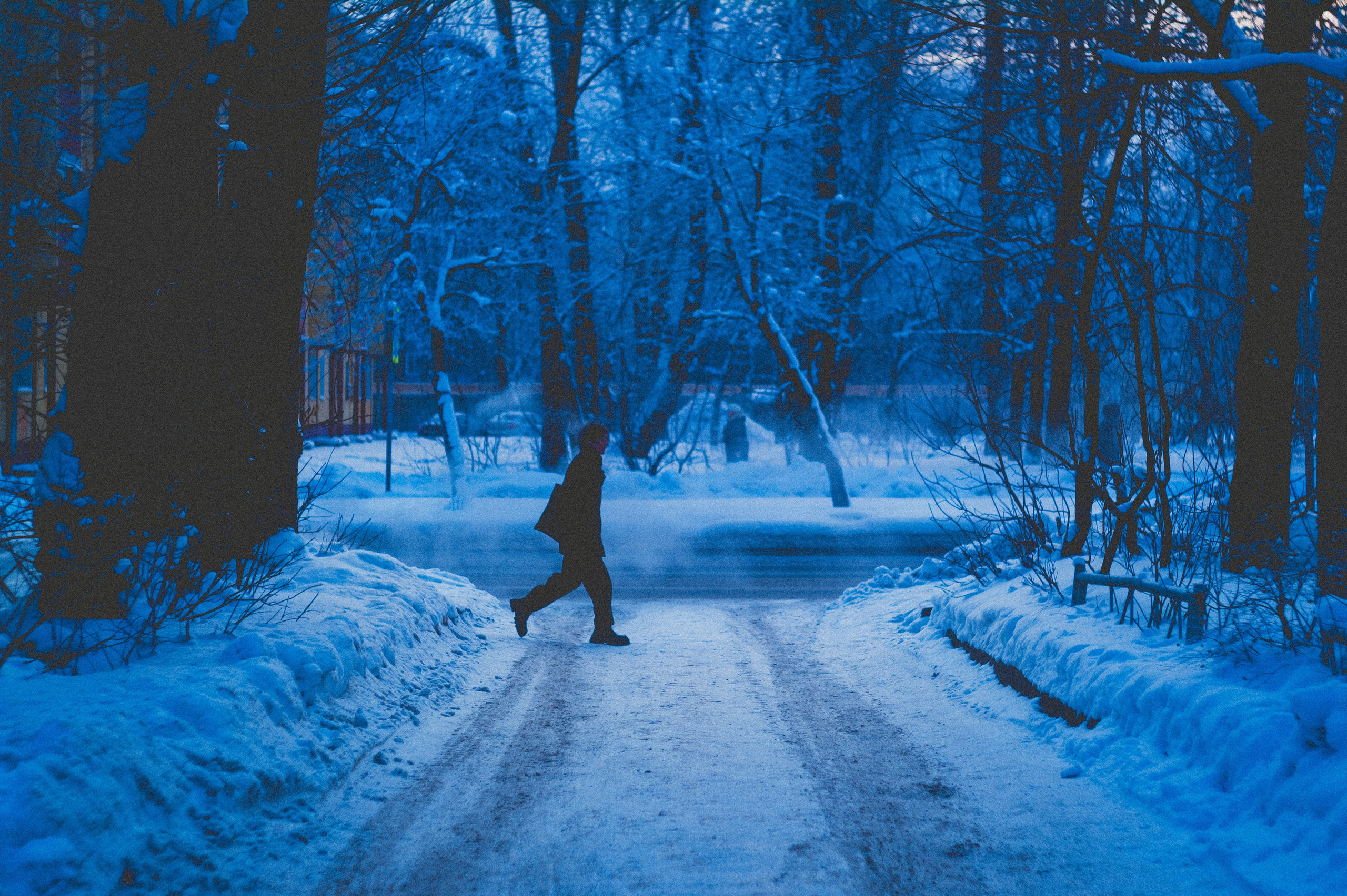 Мороз. Den Mirov — Фотограф, Музыкант