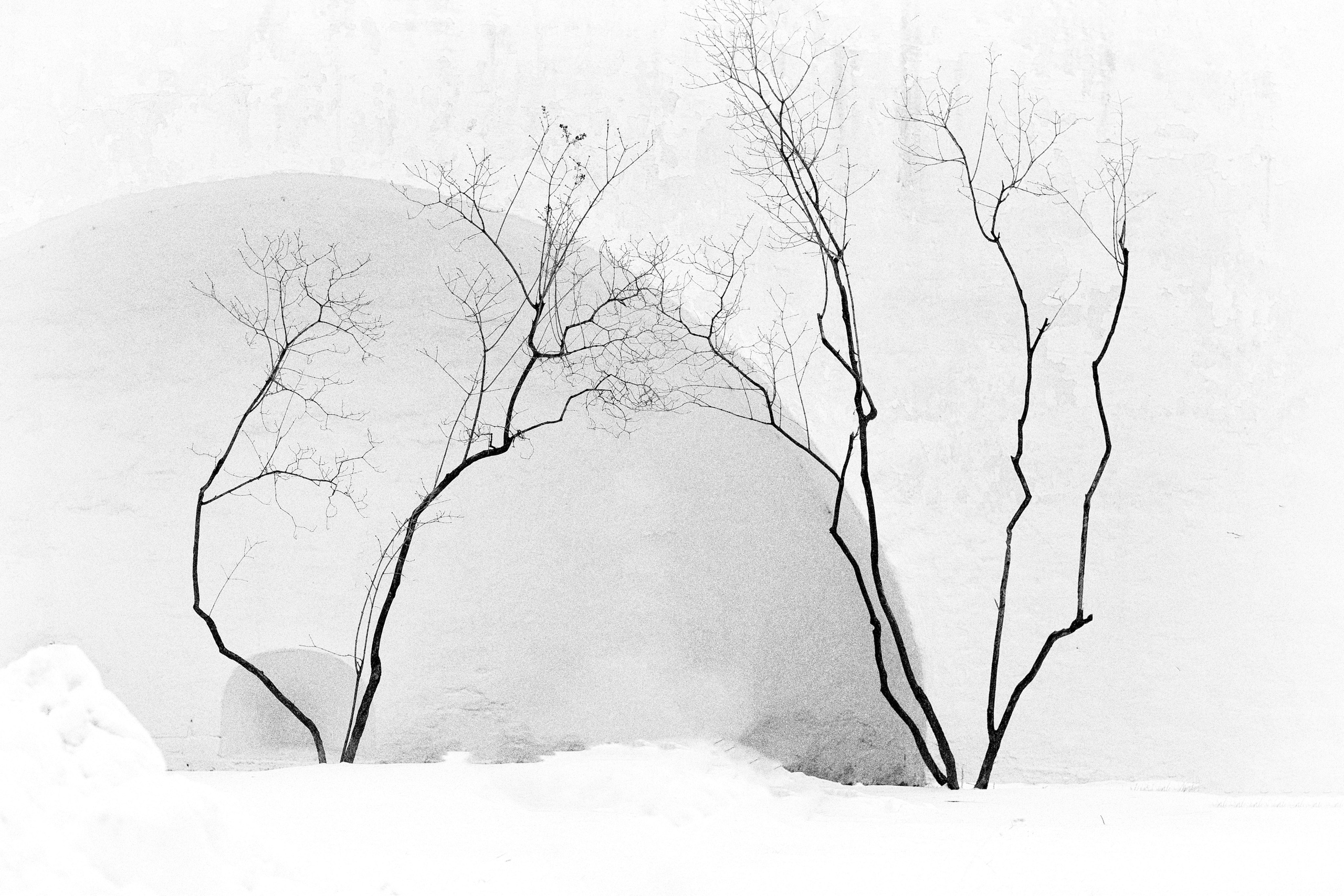 Фотограф Ольга Дунаева