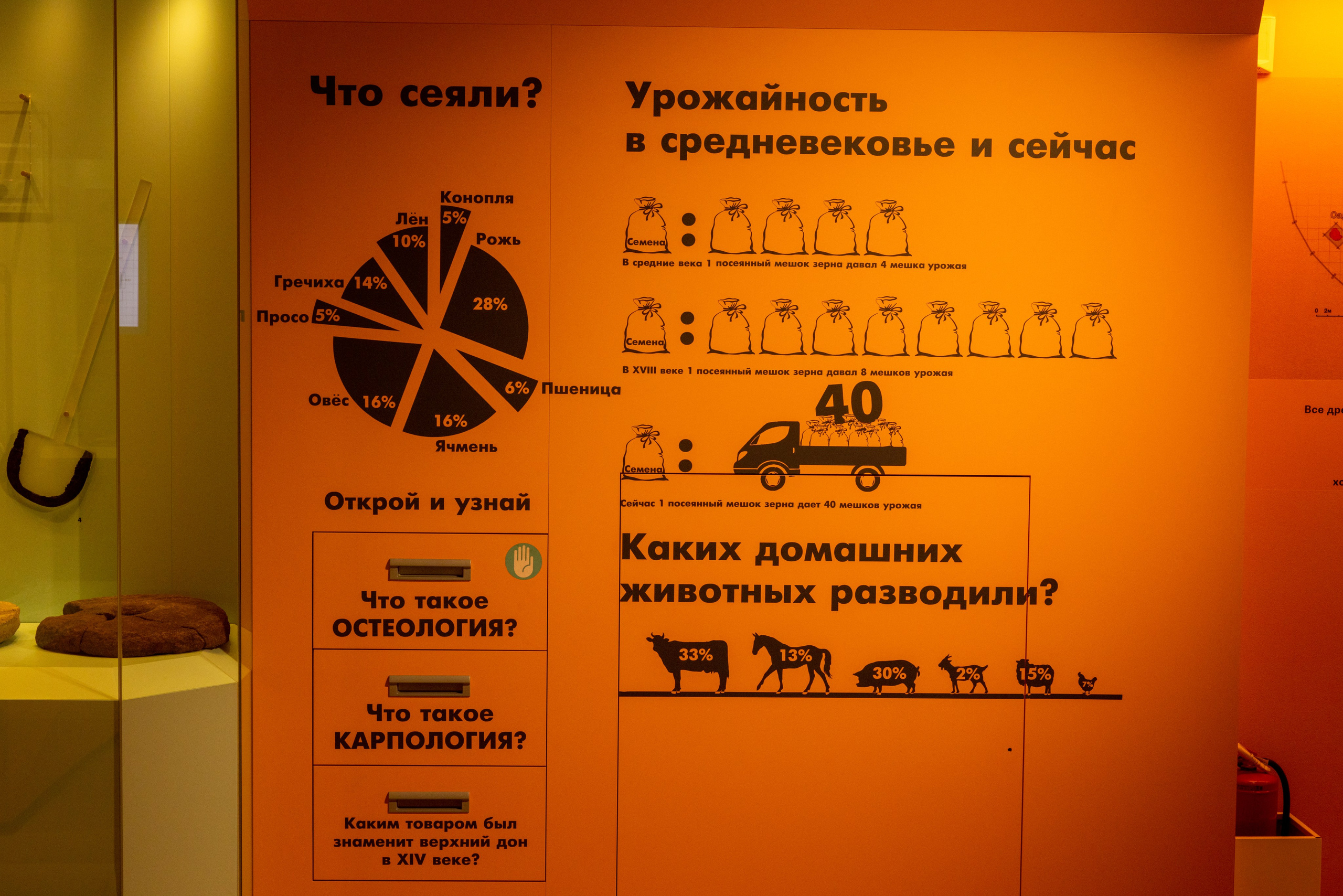 Поездка на поле Кулеково. Фотограф в Туле Крупский АнДРей. Фотостудия «КАДР71» в Туле