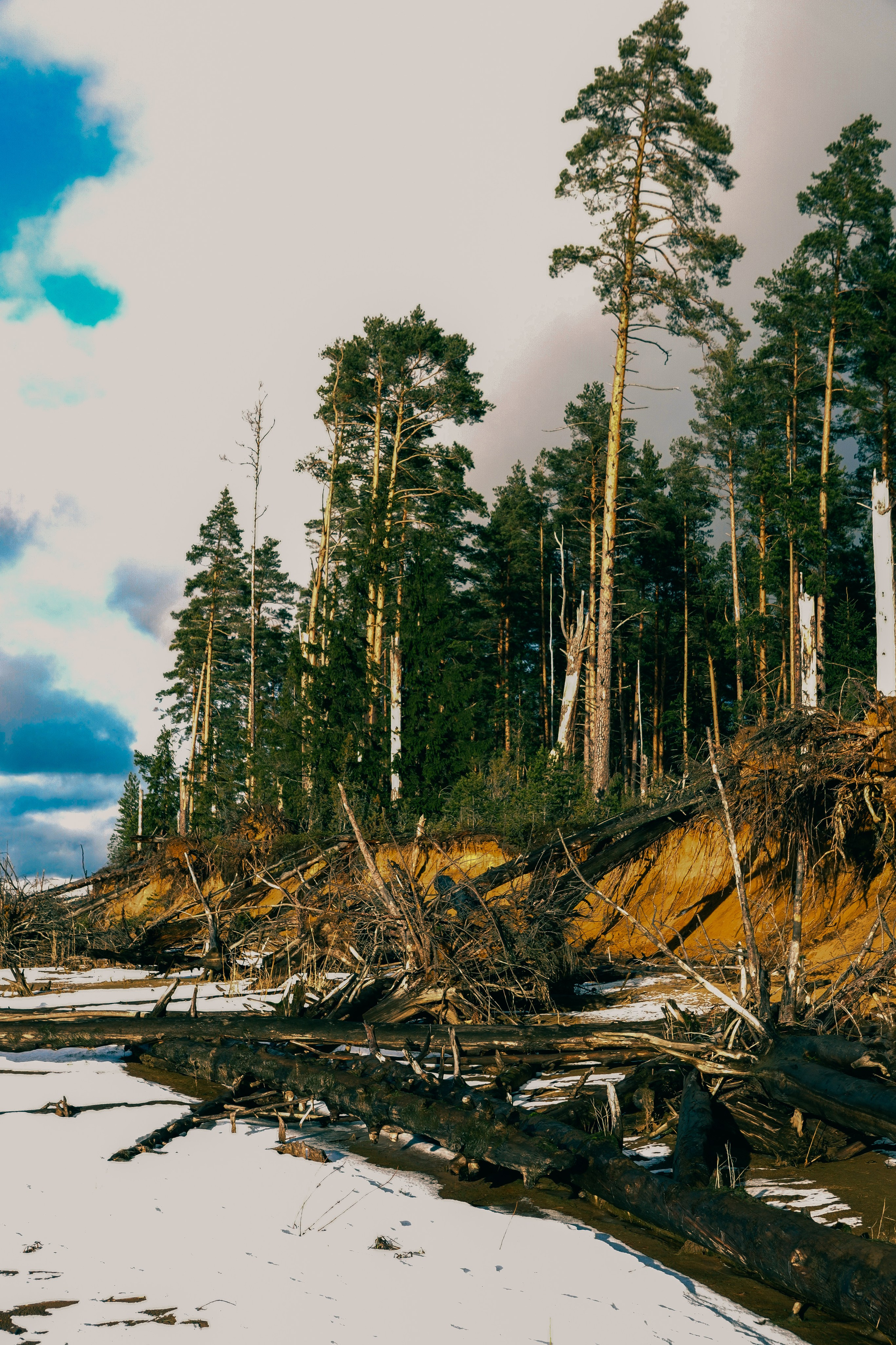 Пленишник. Фотограф Алиса Аспер