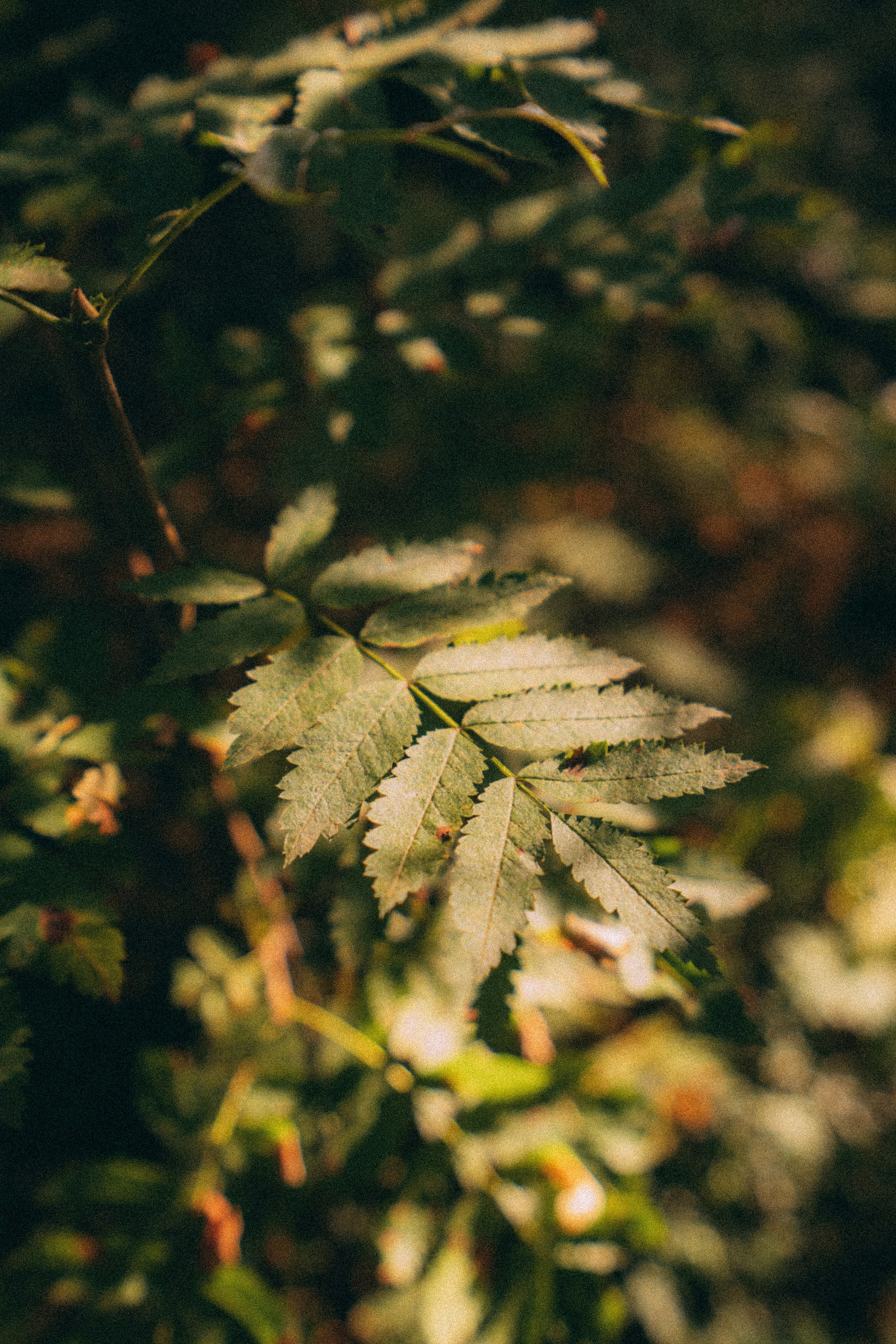 Мурманск. Фотограф Алиса Аспер