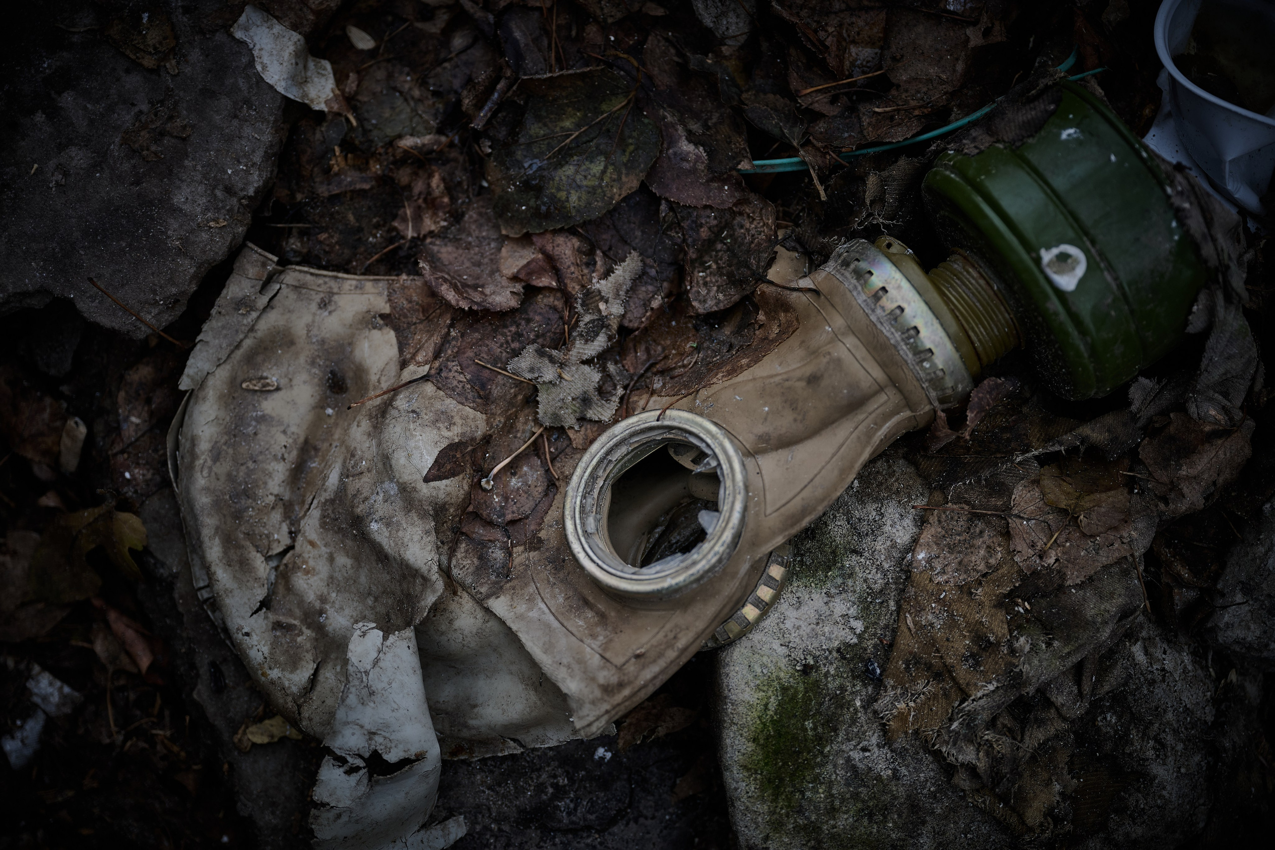 Поздравляем Товарищей с Новым Годом!. Фотограф Роман Адлер