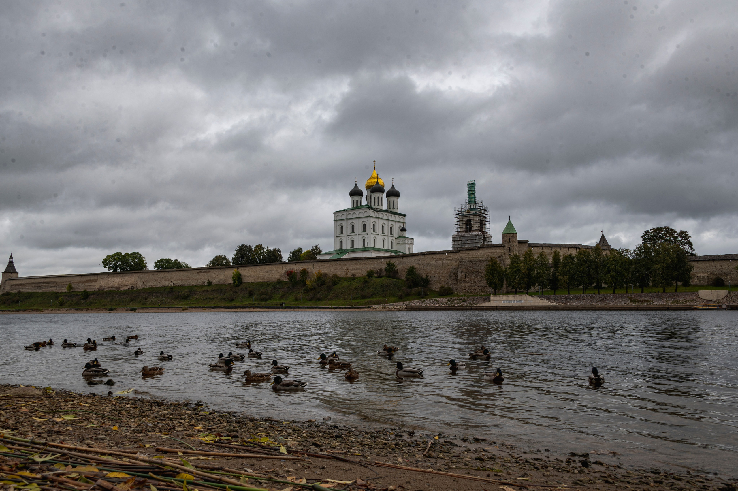 Псков. Октябрь 2023. Фотограф Роман Адлер