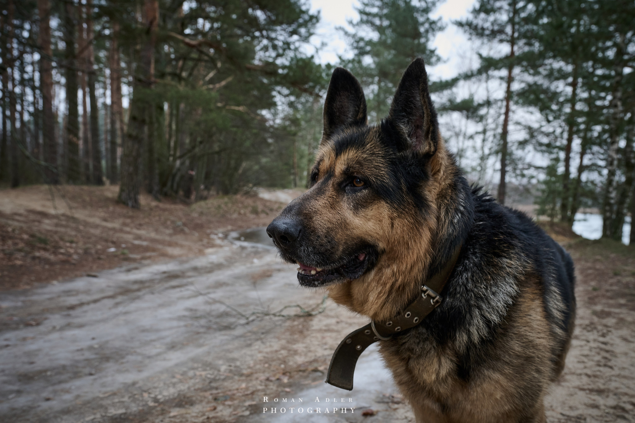 Место силы…. Фотограф Роман Адлер