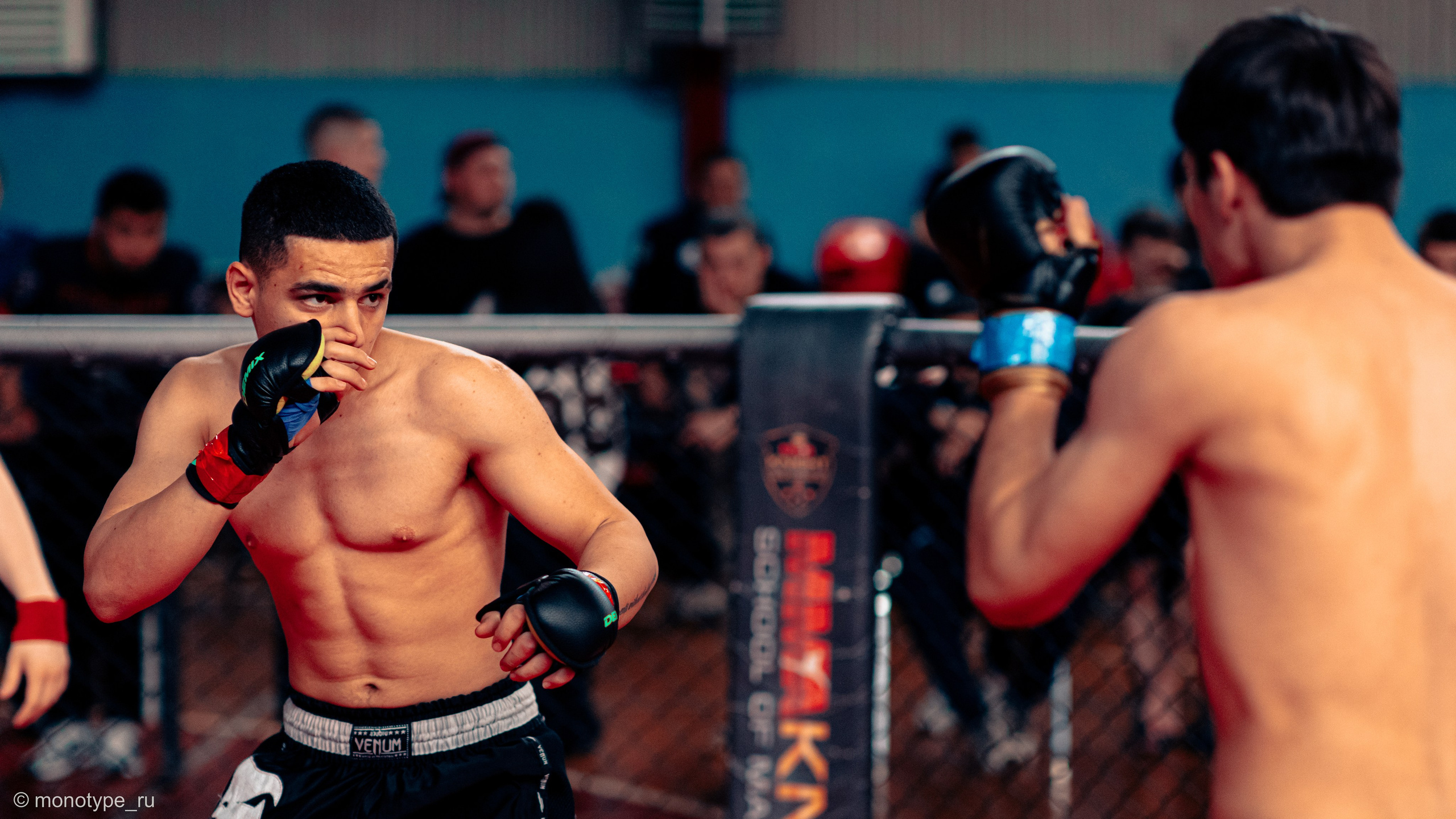 MMA. Бойцовский турнир