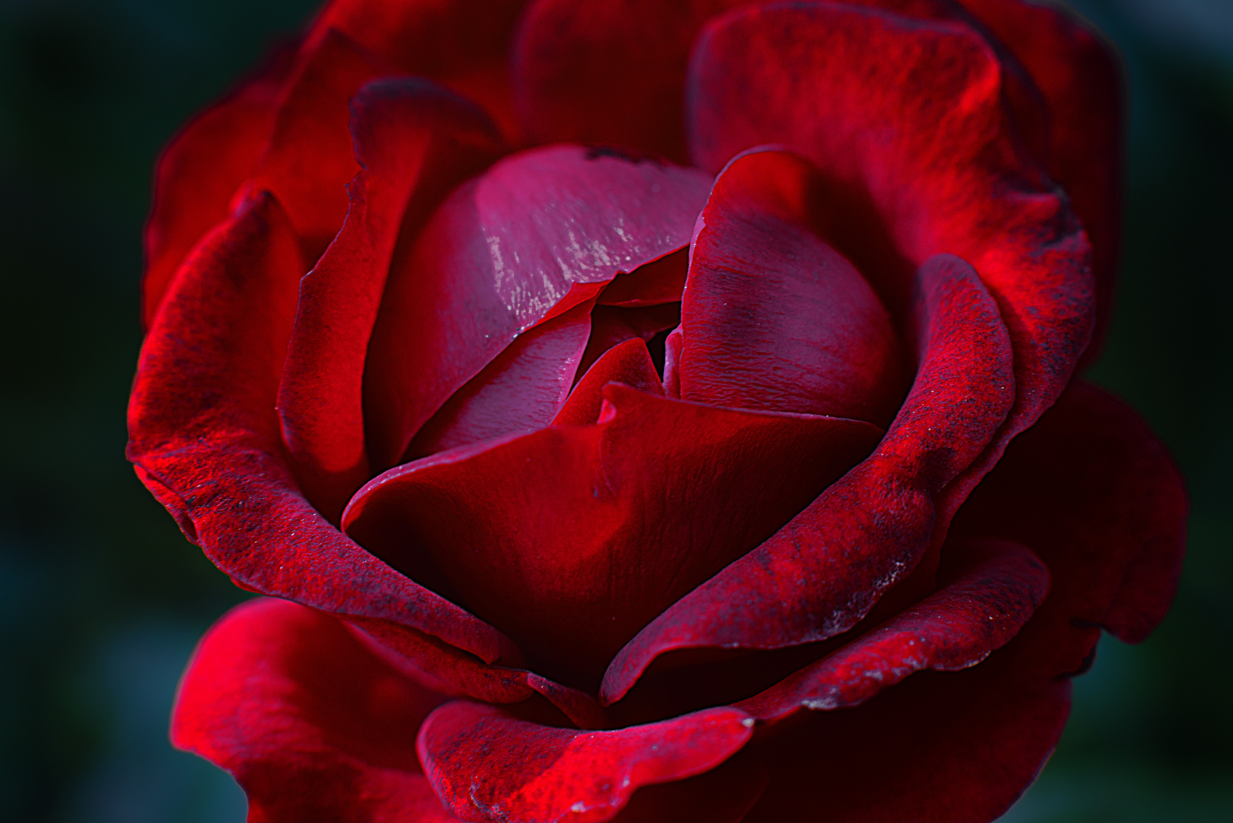 Рекламная фотография в Хабаровске. Фотография в Хабаровске фотограф Александр Давыденко