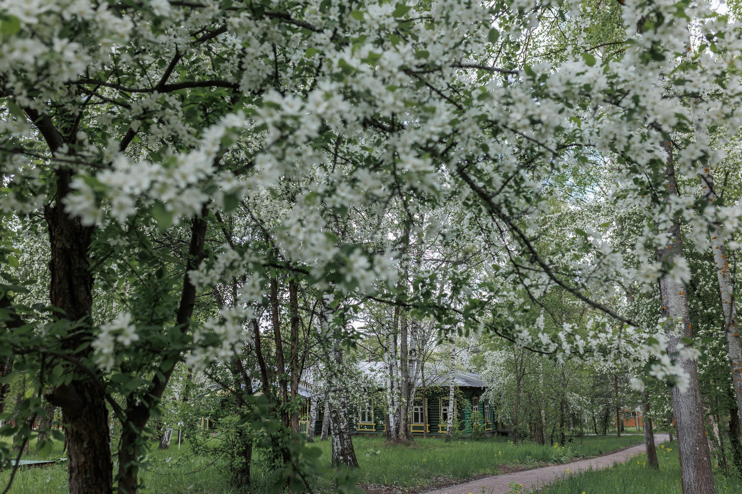 База отдыха «Металлург». Фотограф городских и семейных событий в Нижнем Новгороде Артем Карпухин