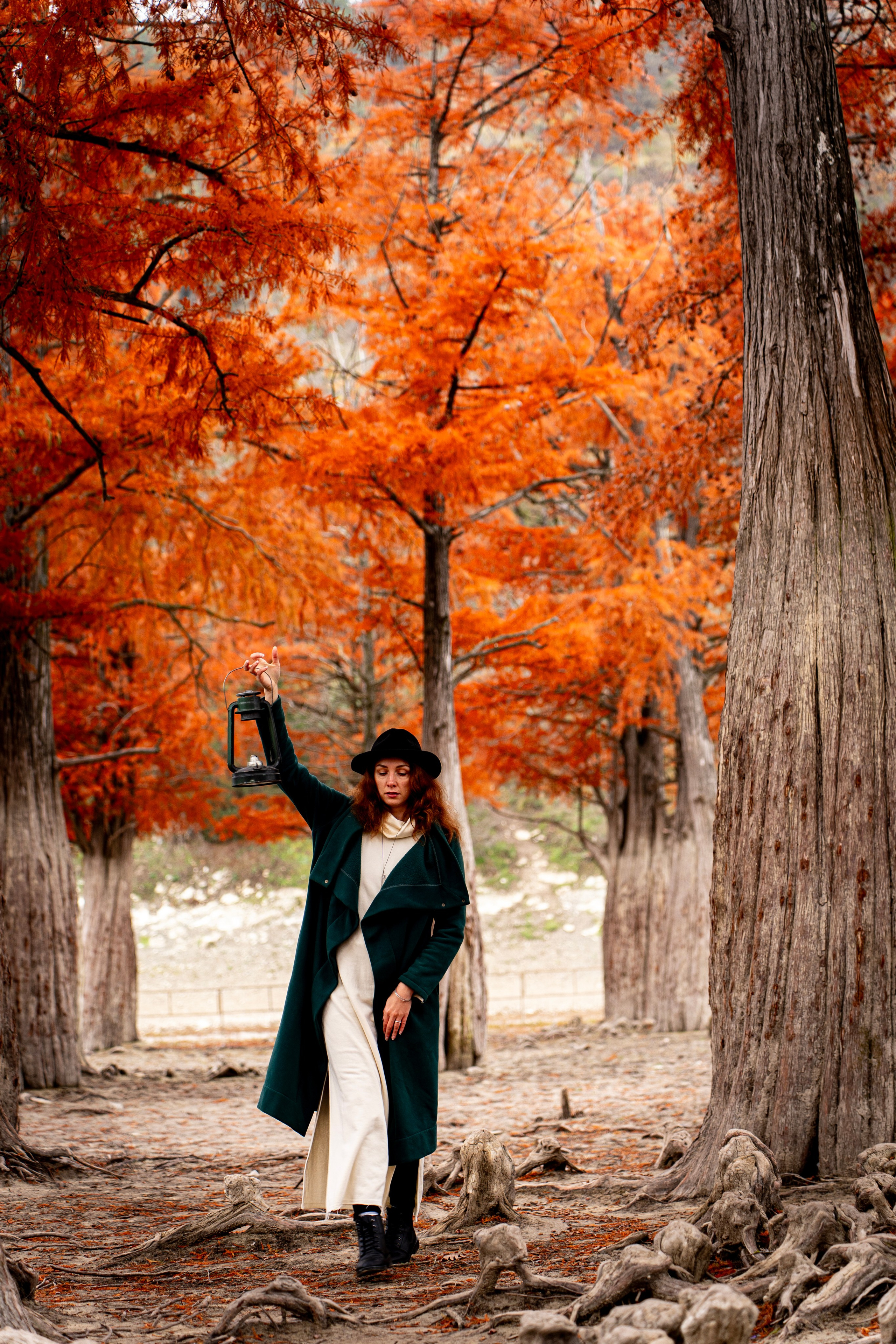 Осенняя фотосессия в Анапе — яркие кипарисы. Семейный и детский фотограф Екатерина Черняева. Снимаю портреты, love story, фотопрогулки, работаю на улице, в кафе, студии, дома у клиента