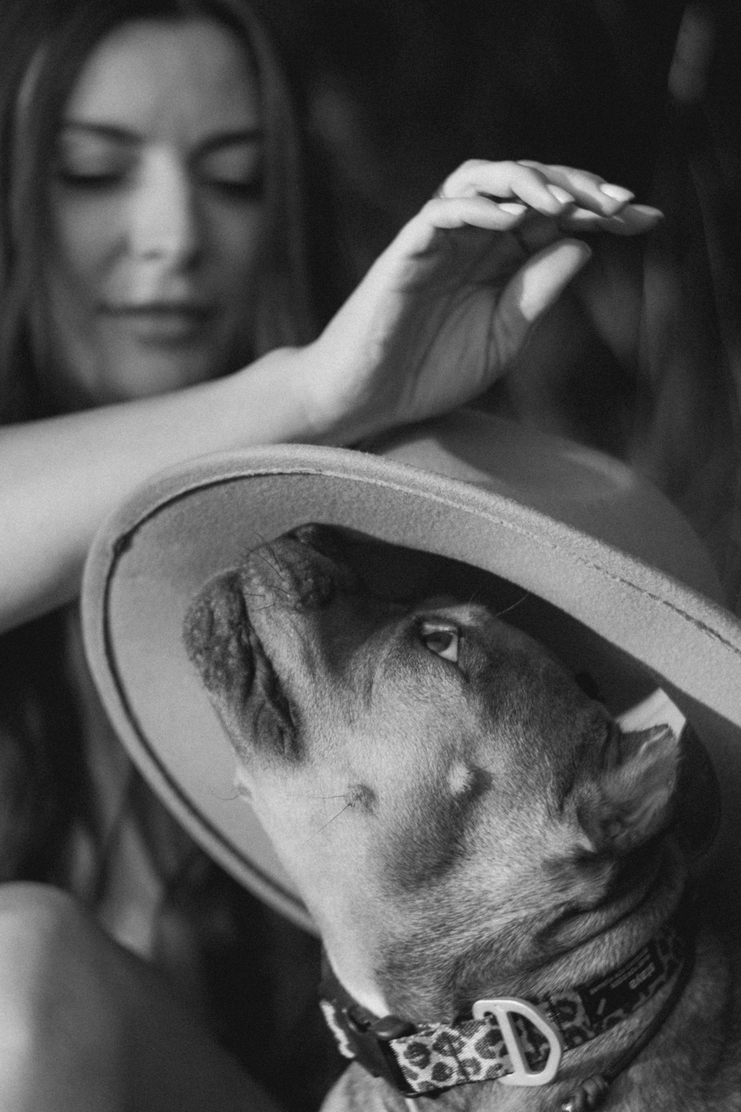 Кристина и Эфи. Фотограф анималист в Москве и Санкт-Петербурге Свиридова Анна