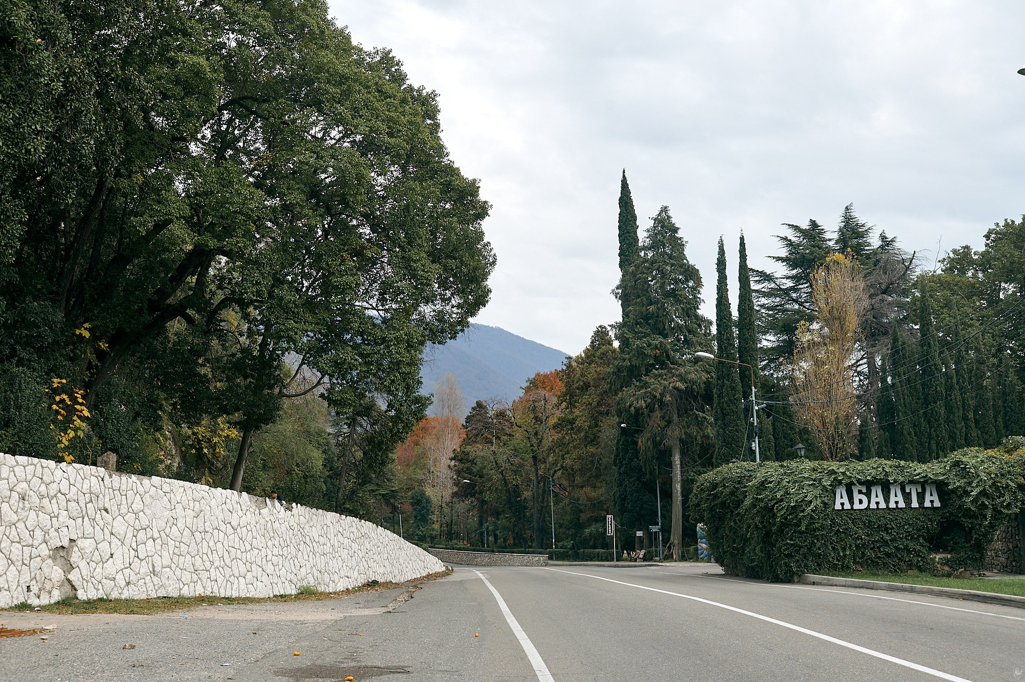 Гагра, Абхазия. Декабрь 2024. Фотографии отовсюду и обо всем