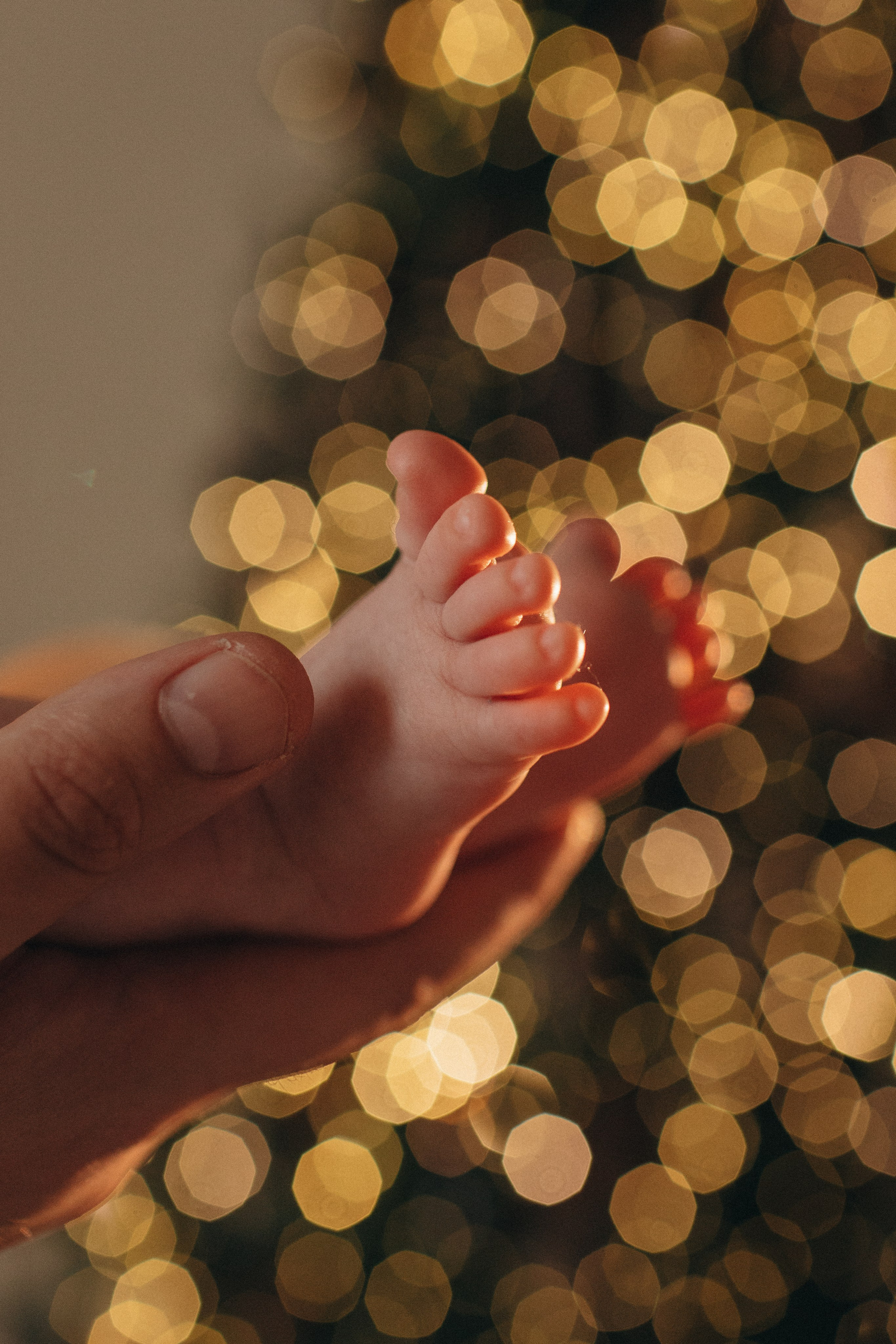 Малышка Василиса. Семейный фотограф в Москве