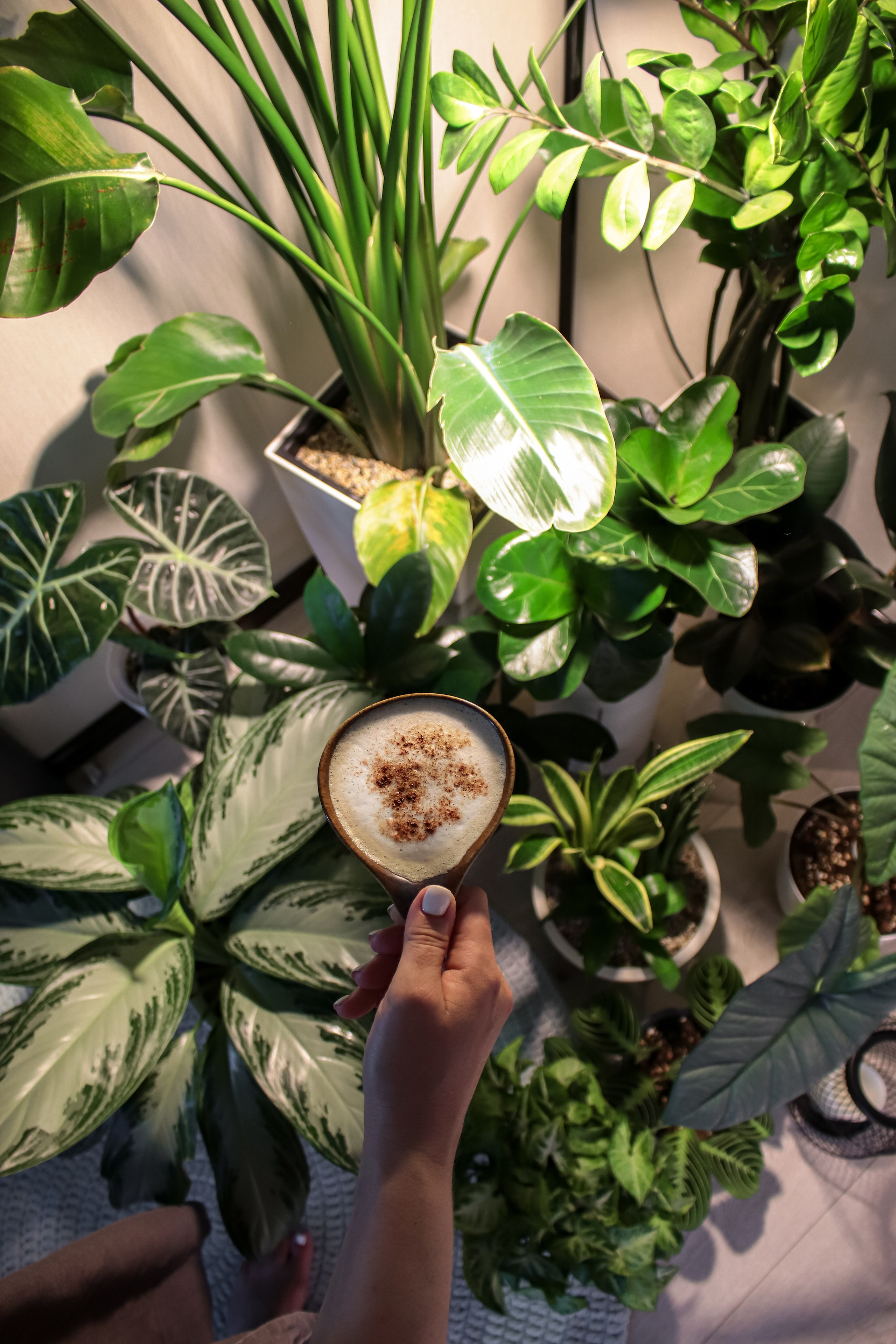 Контент съёмка для фитодизайнера. Фотограф Химки Анна Татарских