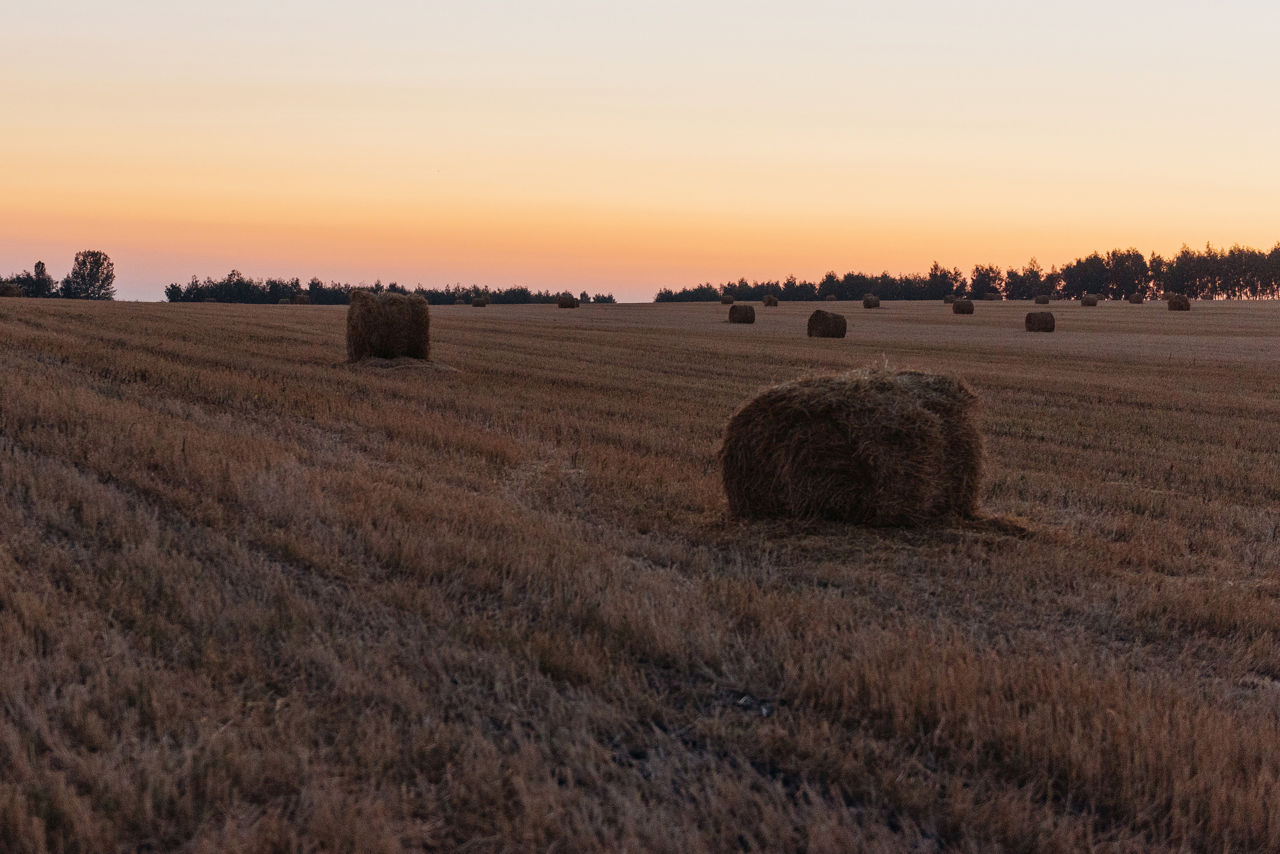 Костя и Наташа. Свадебный фотограф Марина Жемчужникова в Москве и в Белгороде