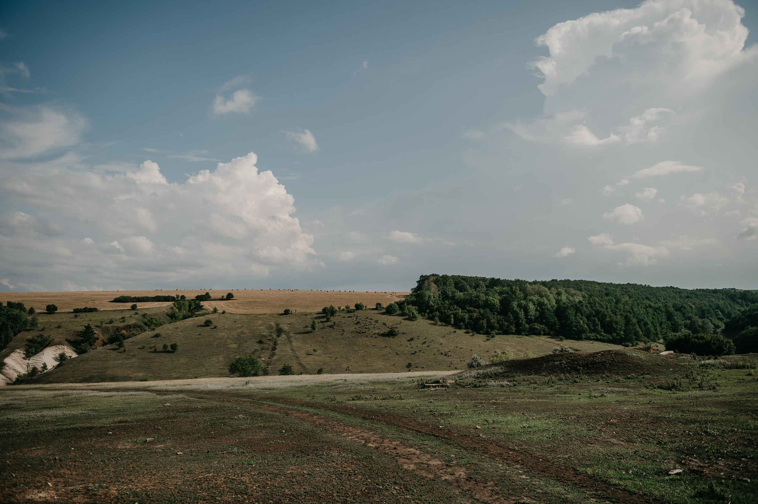 Влад и Аня. Свадебный фотограф Марина Жемчужникова в Москве и в Белгороде