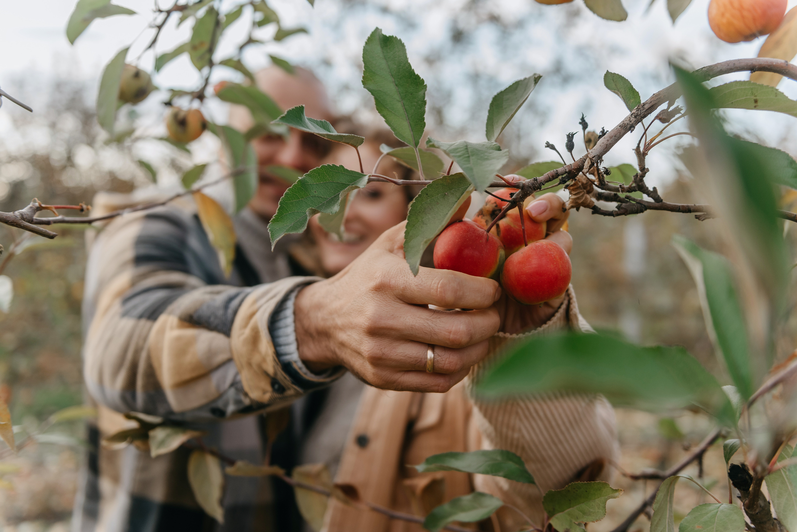 Костя и Наташа. Свадебный фотограф Марина Жемчужникова в Москве и в Белгороде