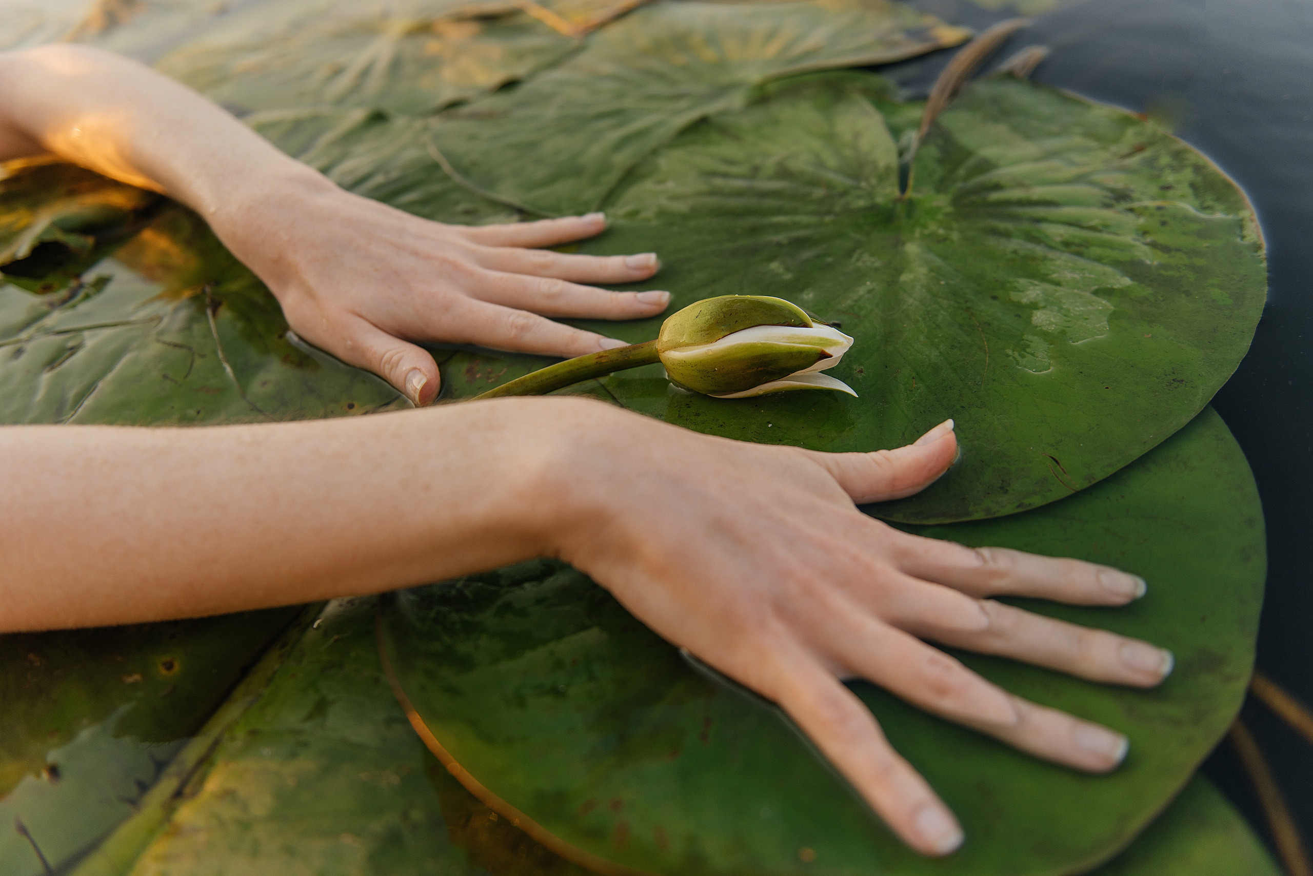 Лиза. Свадебный фотограф Марина Жемчужникова в Москве и в Белгороде