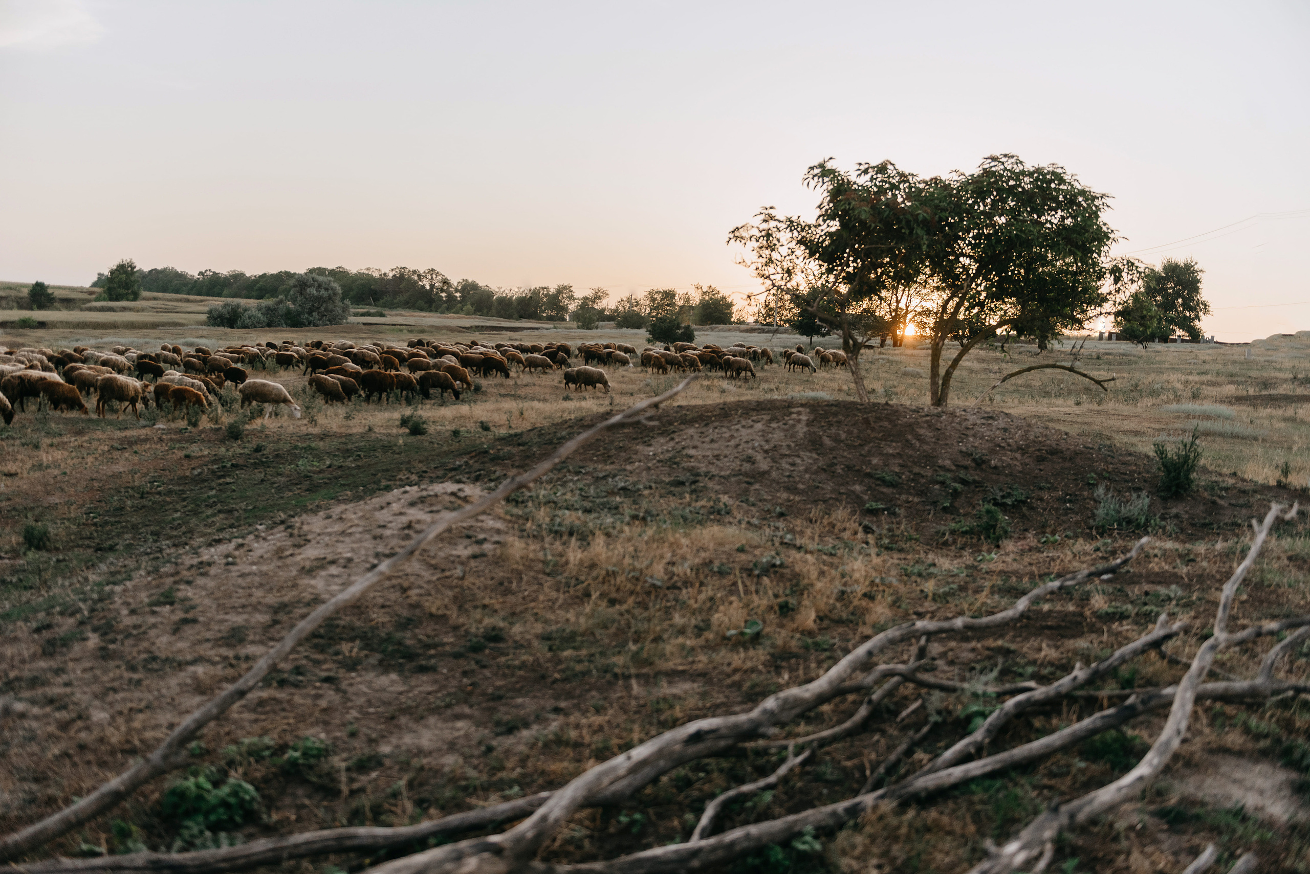 Оля. Свадебный фотограф Марина Жемчужникова в Москве и в Белгороде