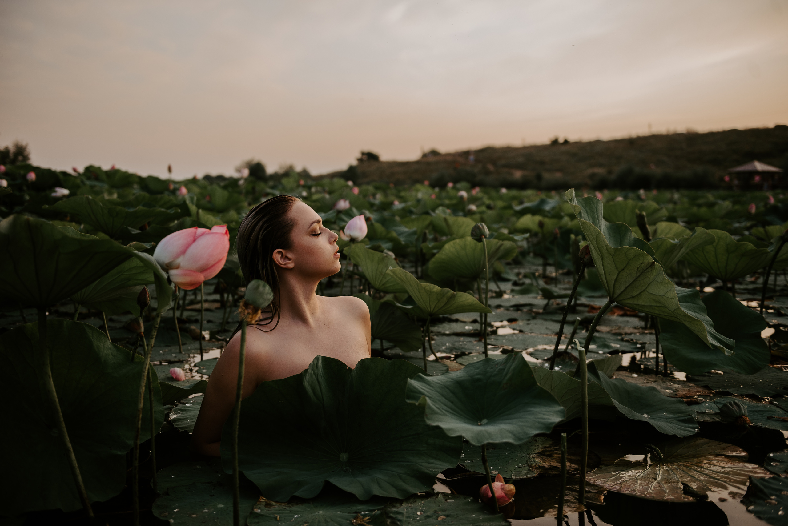 Леся и лотосы. Свадебный фотограф Марина Жемчужникова в Москве и в Белгороде