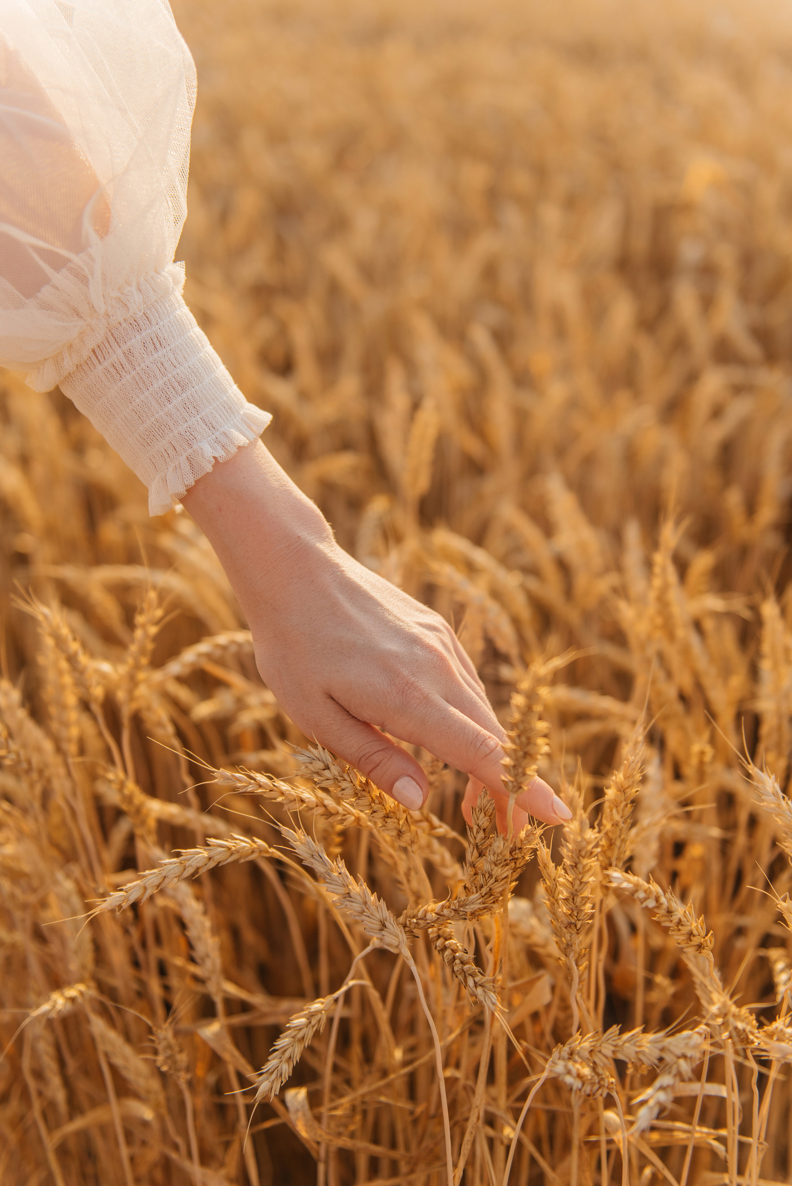 Даша. Свадебный фотограф Марина Жемчужникова в Москве и в Белгороде
