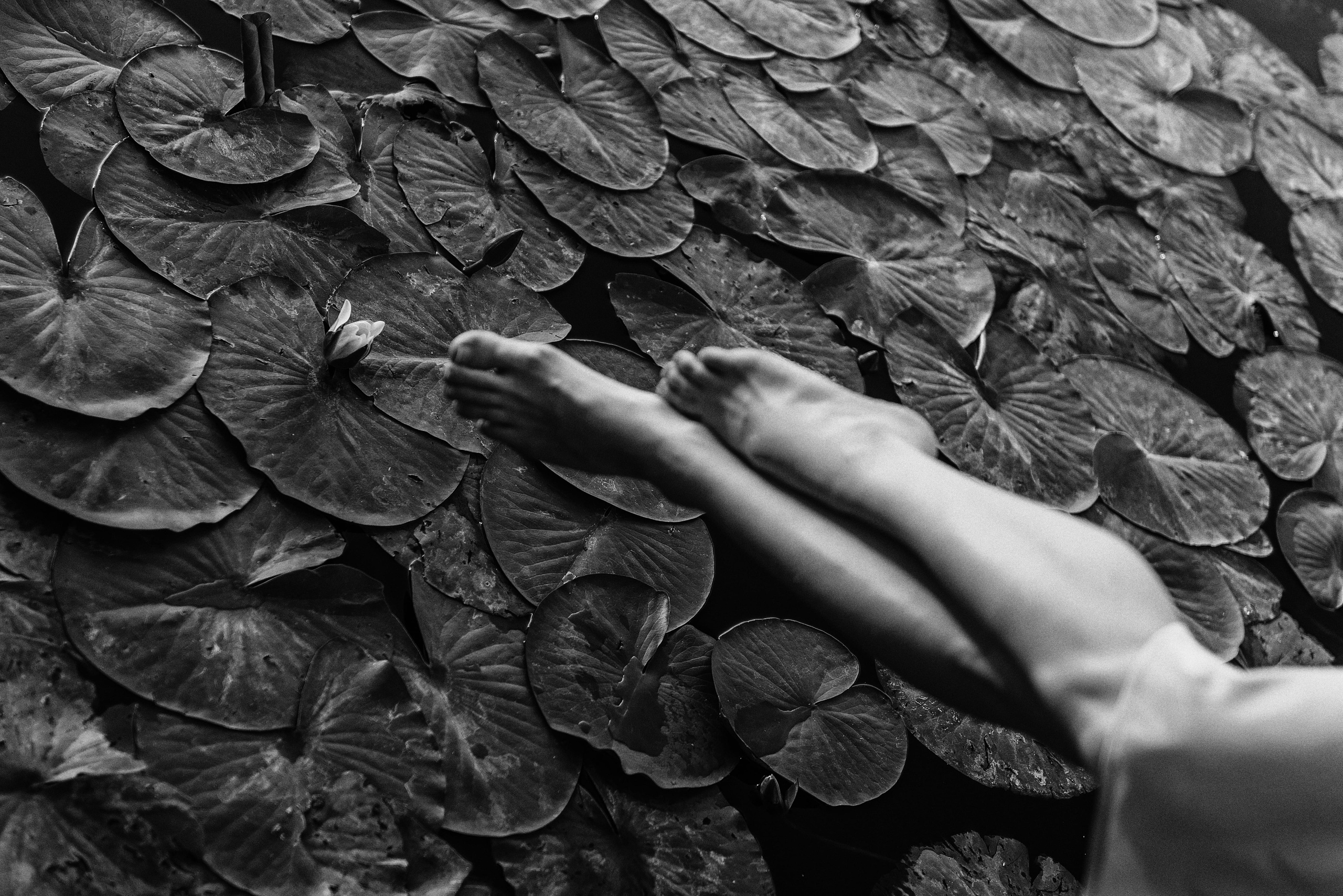 Лиза. Свадебный фотограф Марина Жемчужникова в Москве и в Белгороде