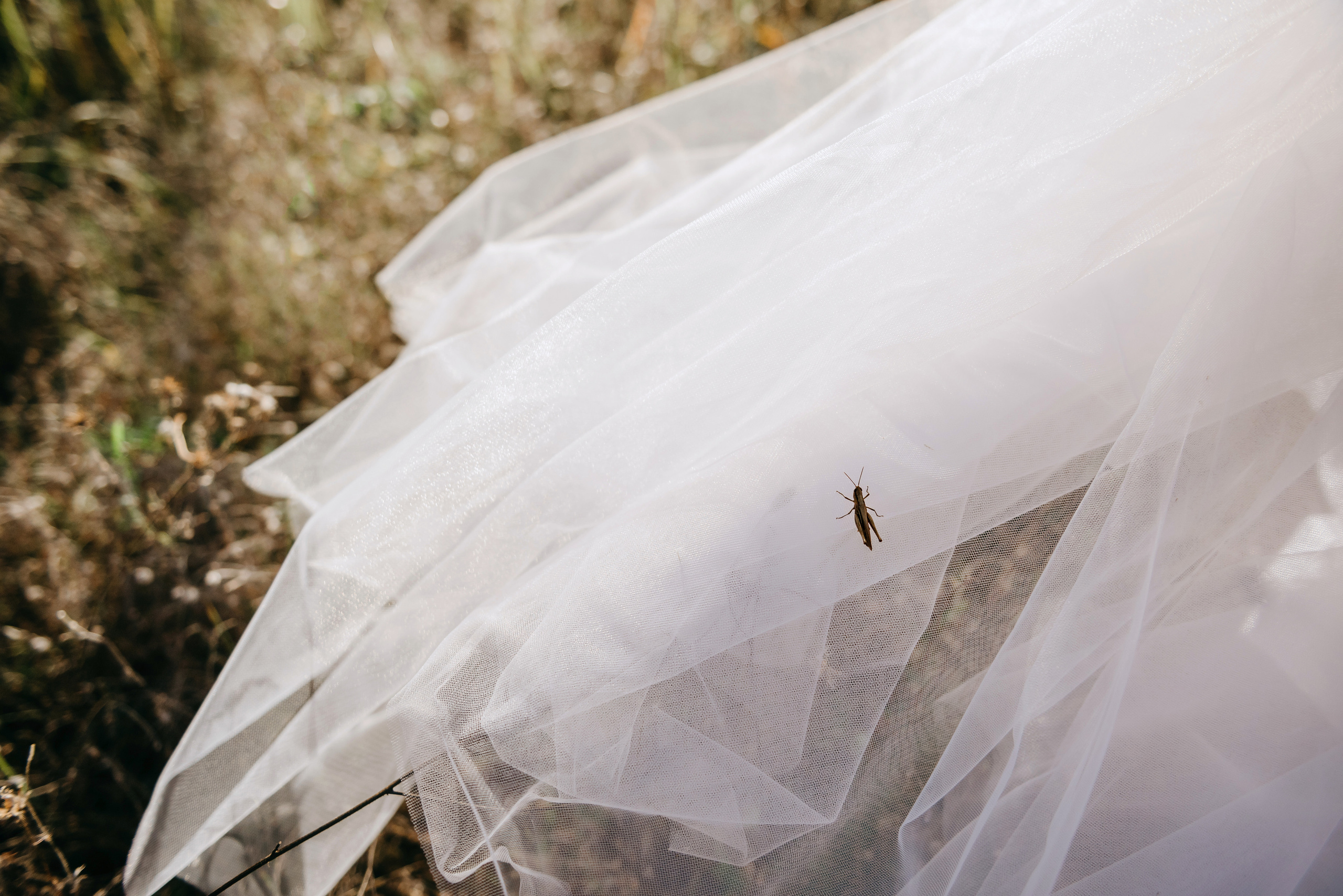 Виталик и Даша. Свадебный фотограф Марина Жемчужникова в Москве и в Белгороде