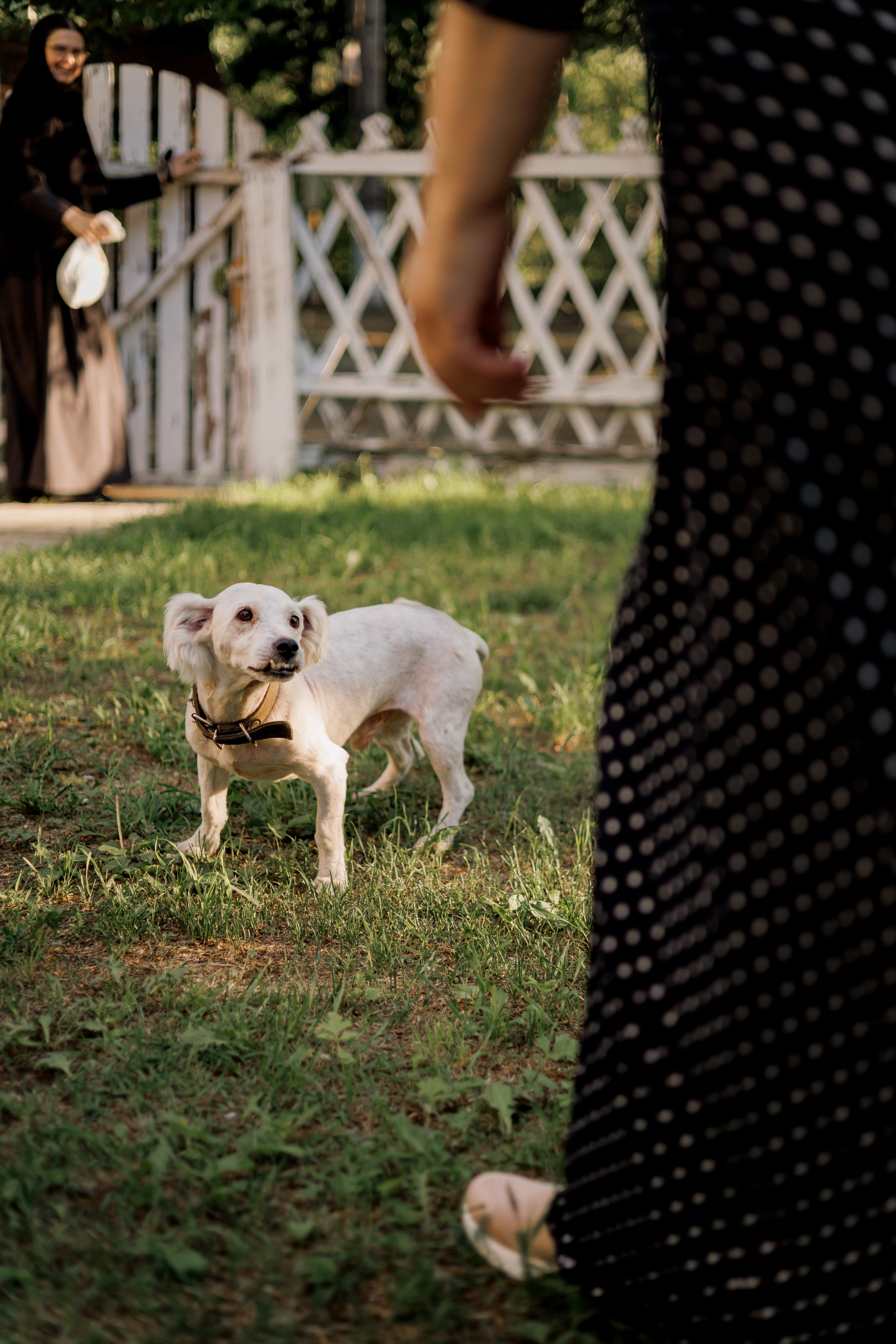 Детский фотограф биробиджан. Детский и семейный фотограф  Биробиджан Оля Светагор