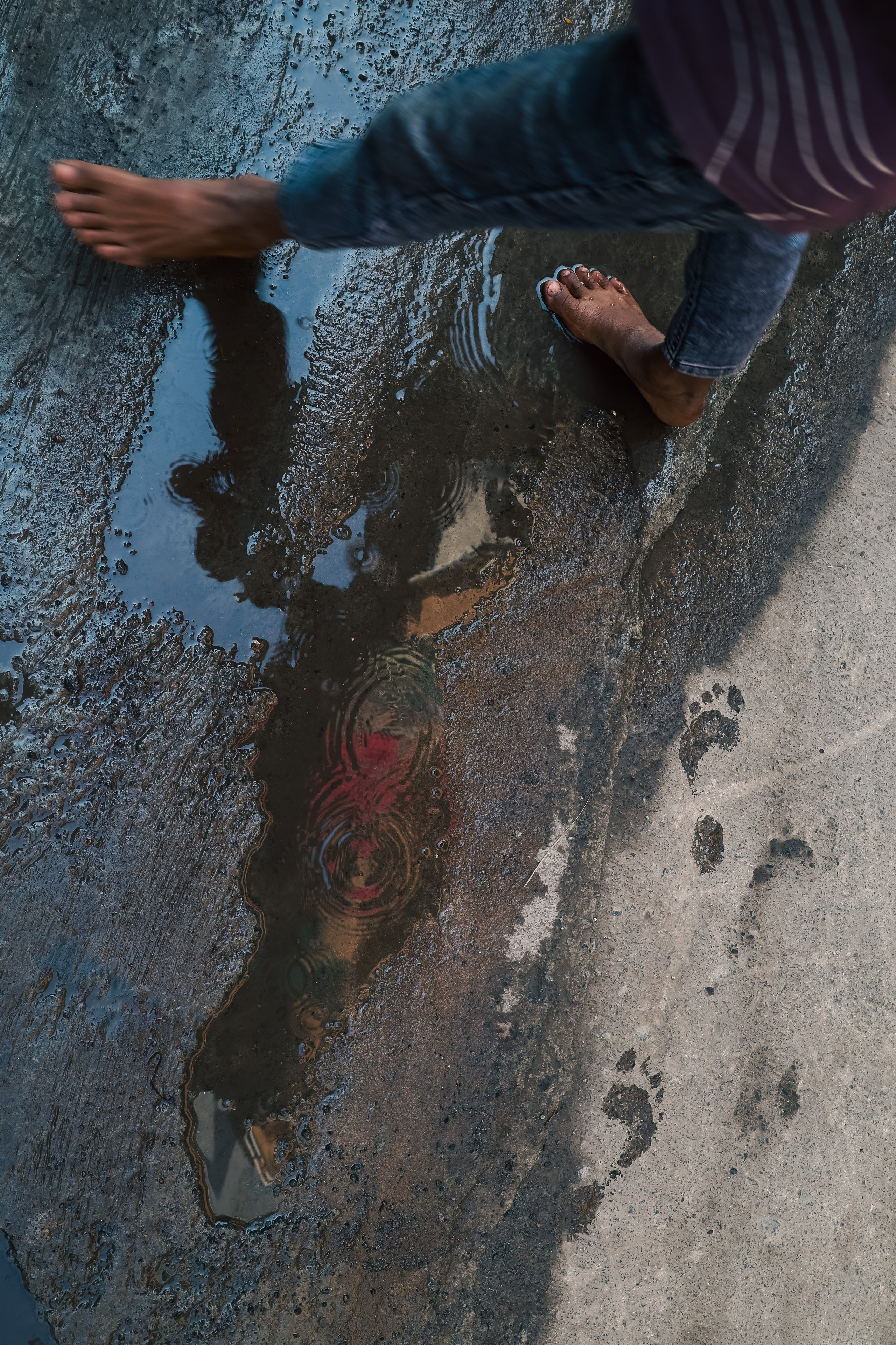 India. Фотограф в Москве