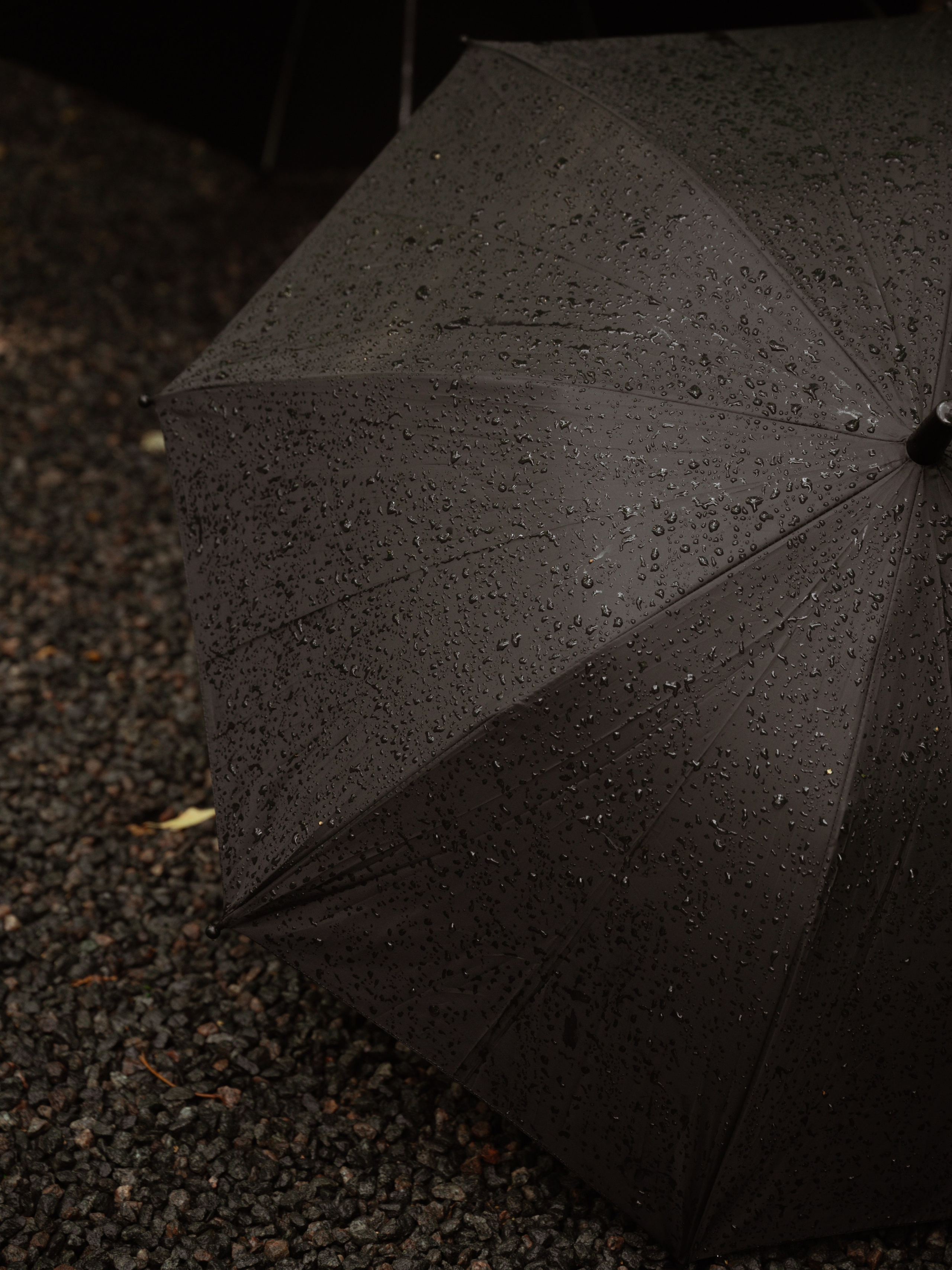 Свадебный день Ани и Васи. Свадебный фотограф в Туле и Москве Елена Рубцова