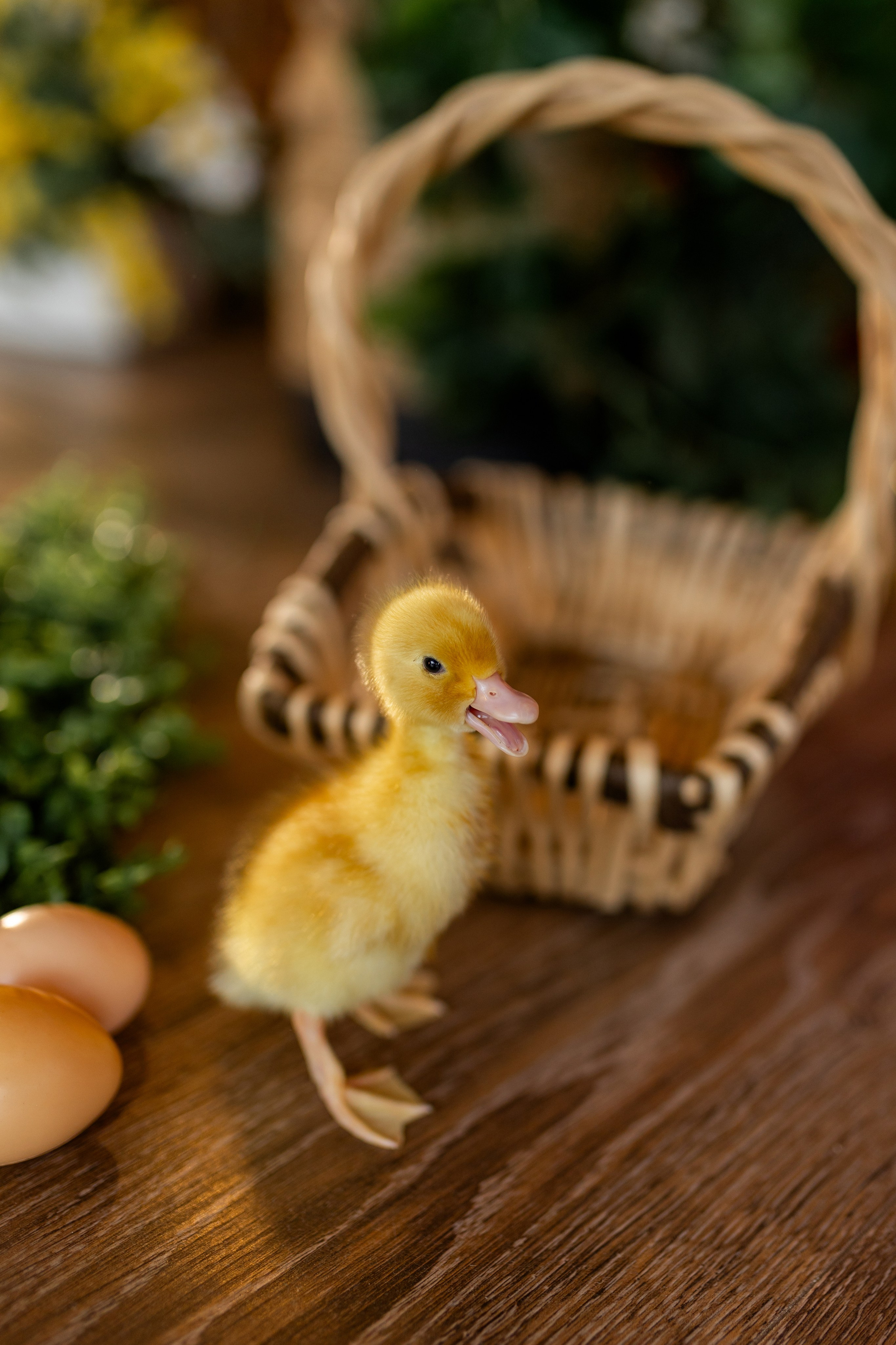 Денис к Пасхе. Семейный и женский фотограф в Ростове-на-Дону Екатерина Фитисова