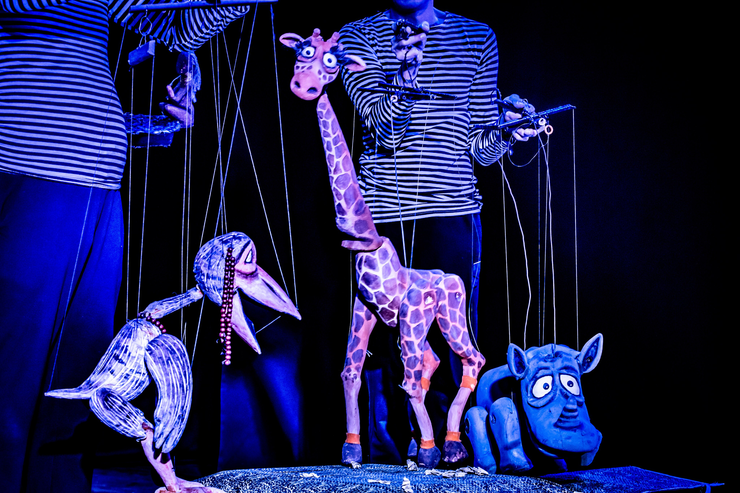 Жирафа и носорог спектакль театра Саквояж. Фотограф в Сочи Юрий Шептаев